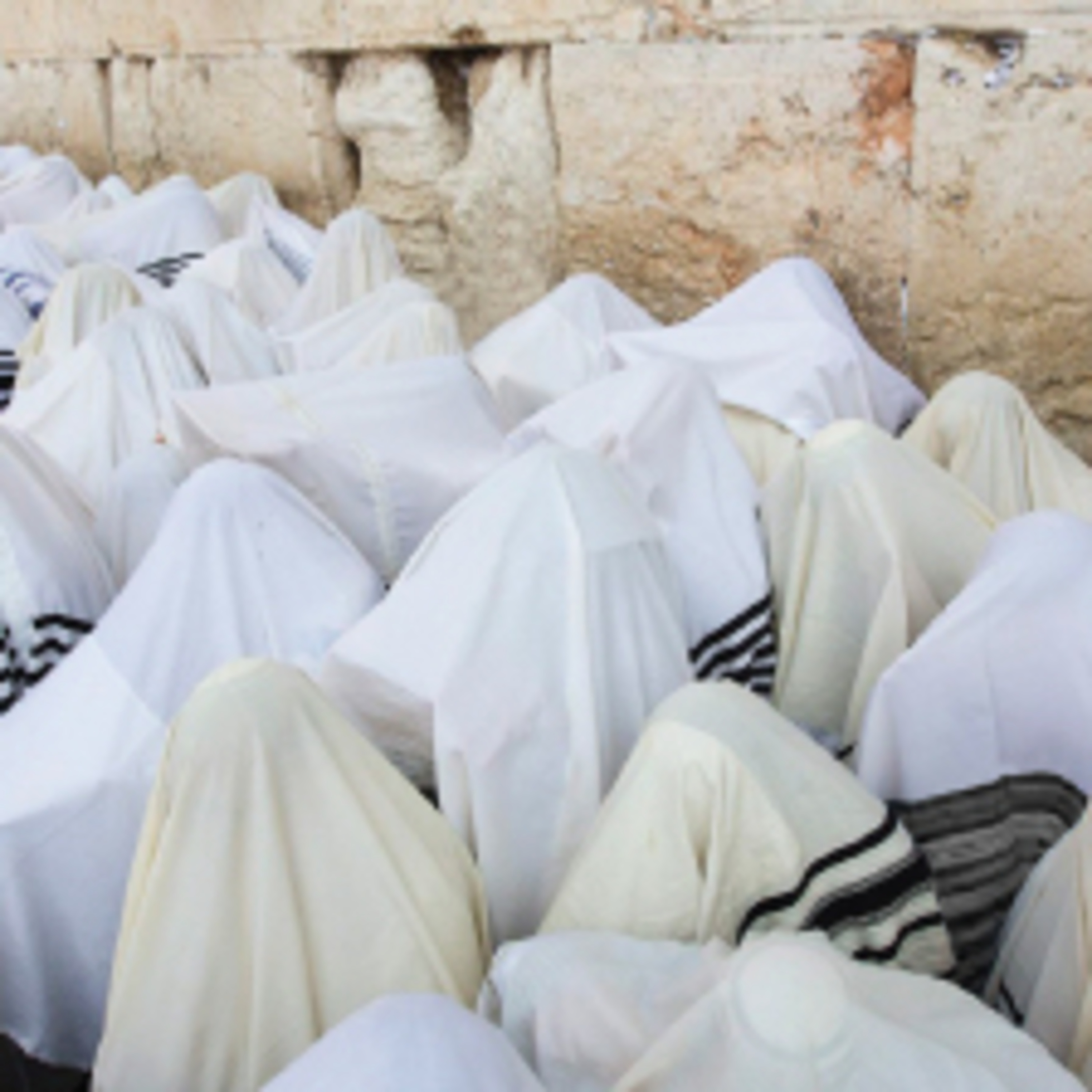 Rabbi Yakov Bronsteyn - Parsha Classes
