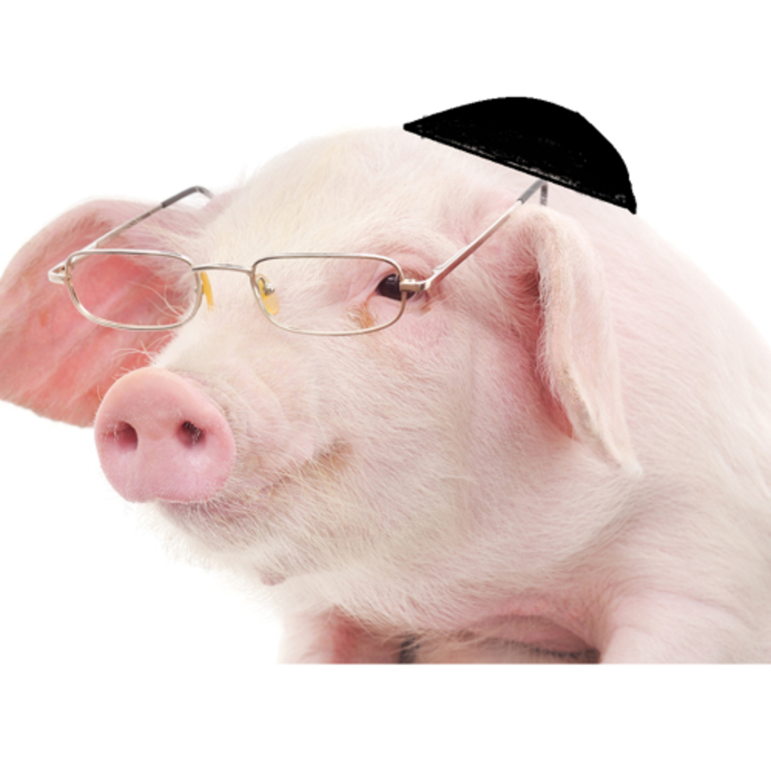 195. Re’eh - A Kosher Pig & The Messiah  episode artwork