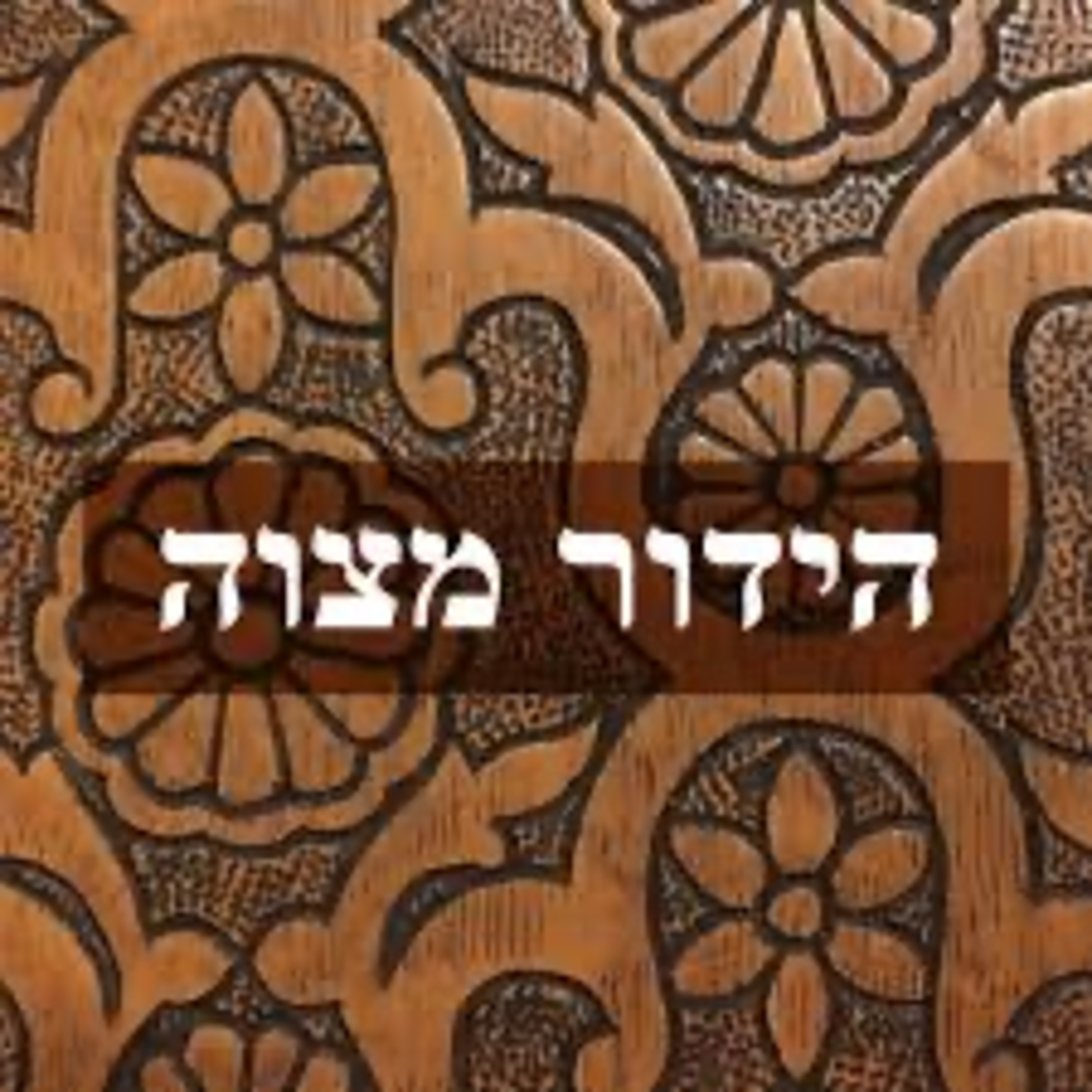 305. Succos - Hidur Mitzvah episode artwork