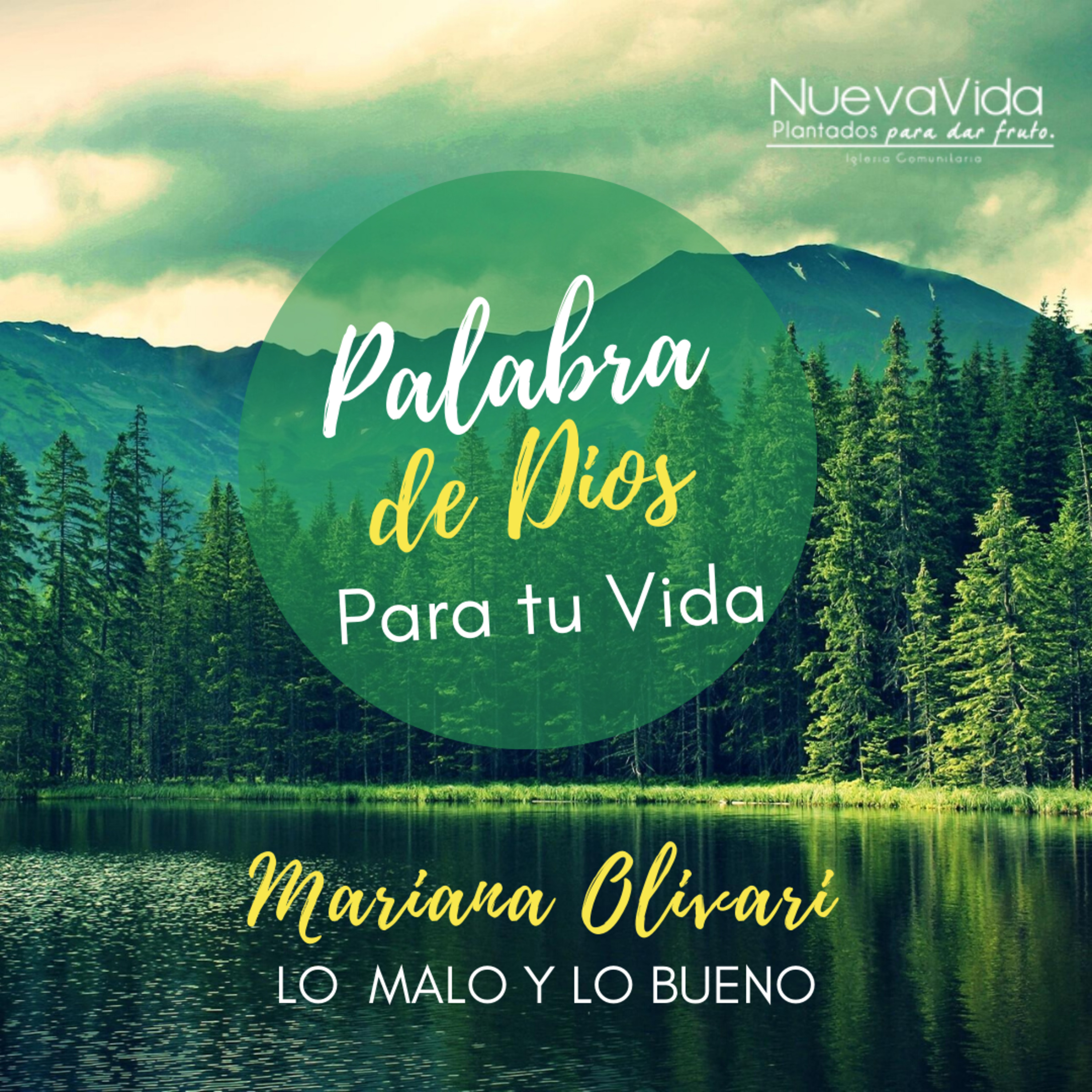 Reflexiones de Vida NV