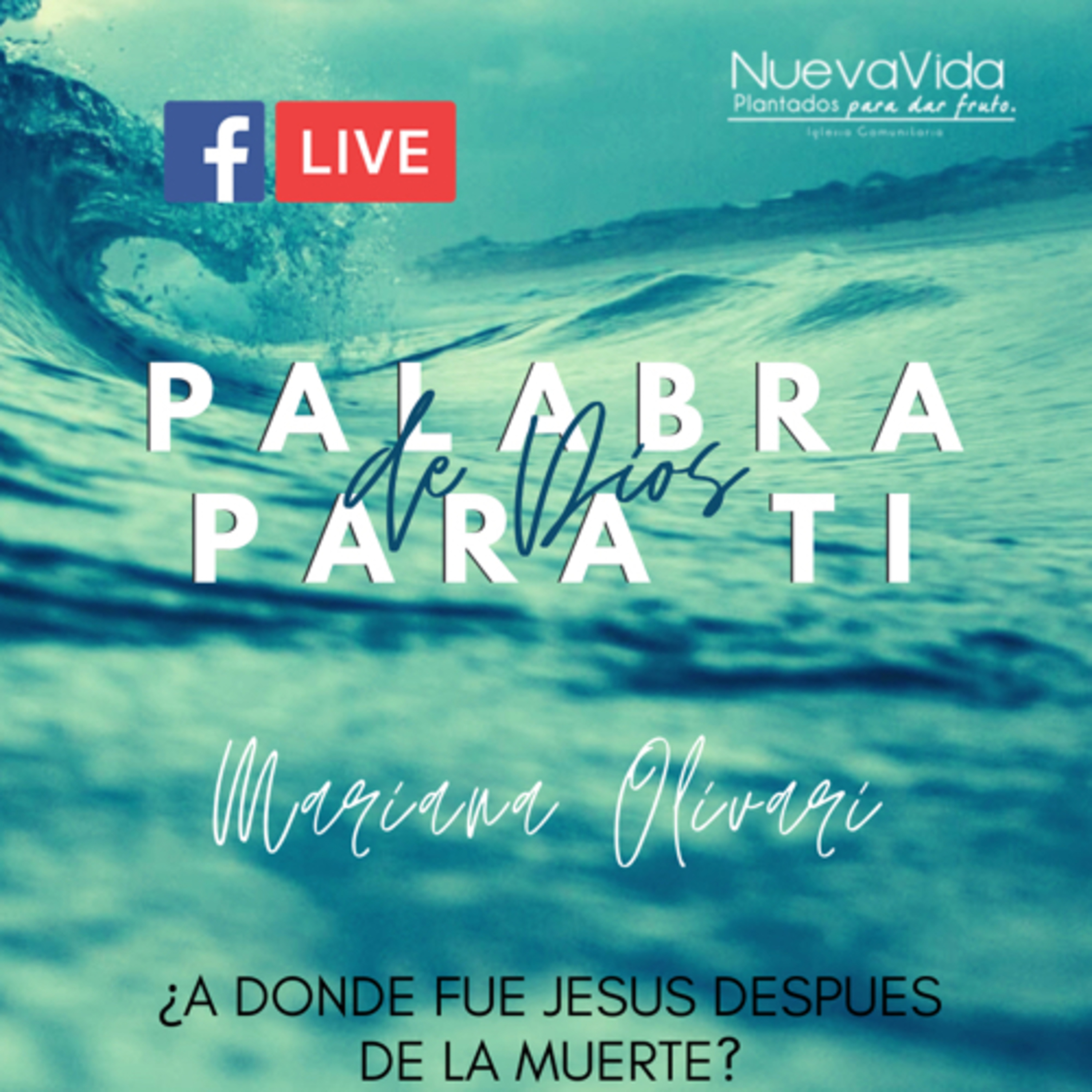 Reflexiones de Vida NV