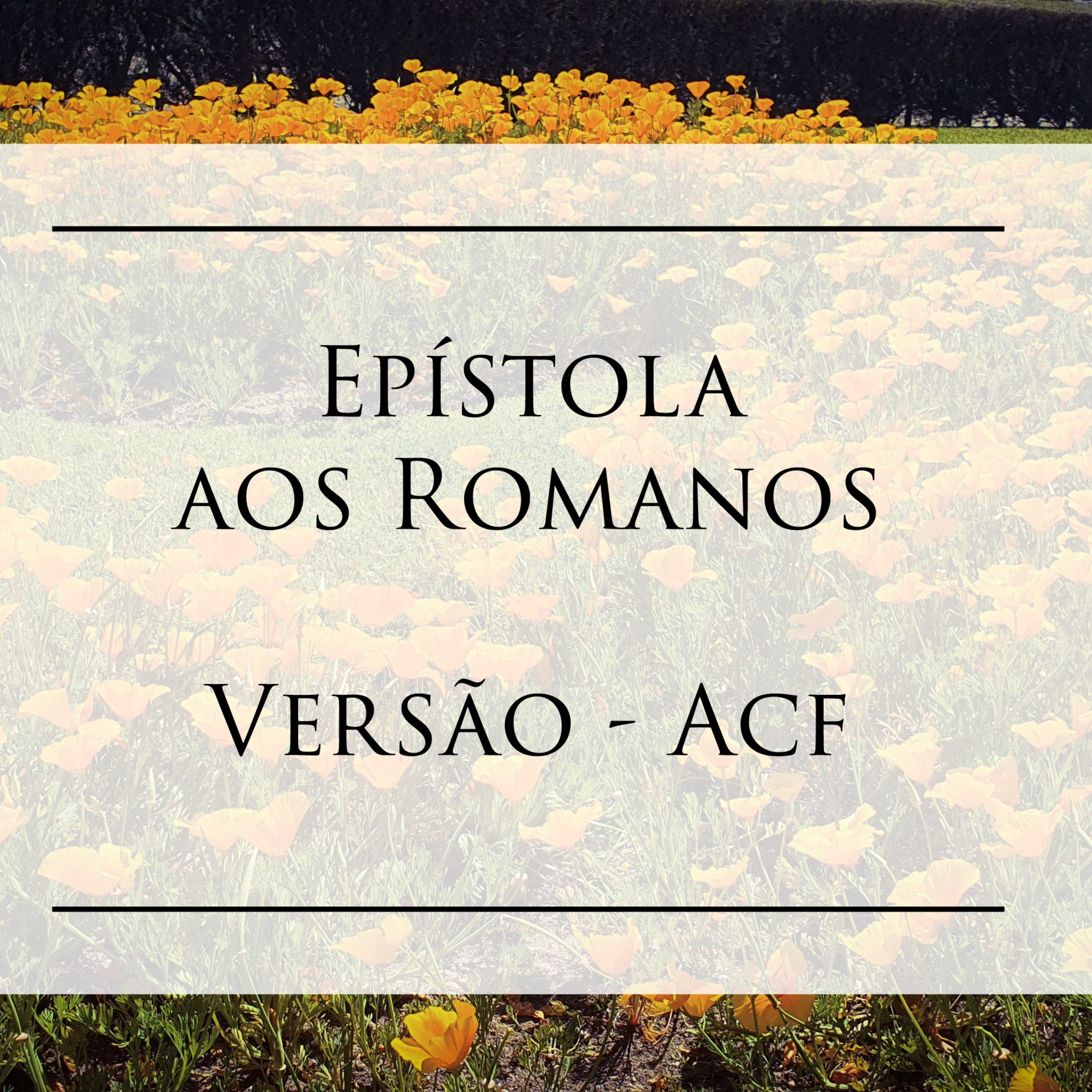 Romanos - Cap. 13 episode artwork