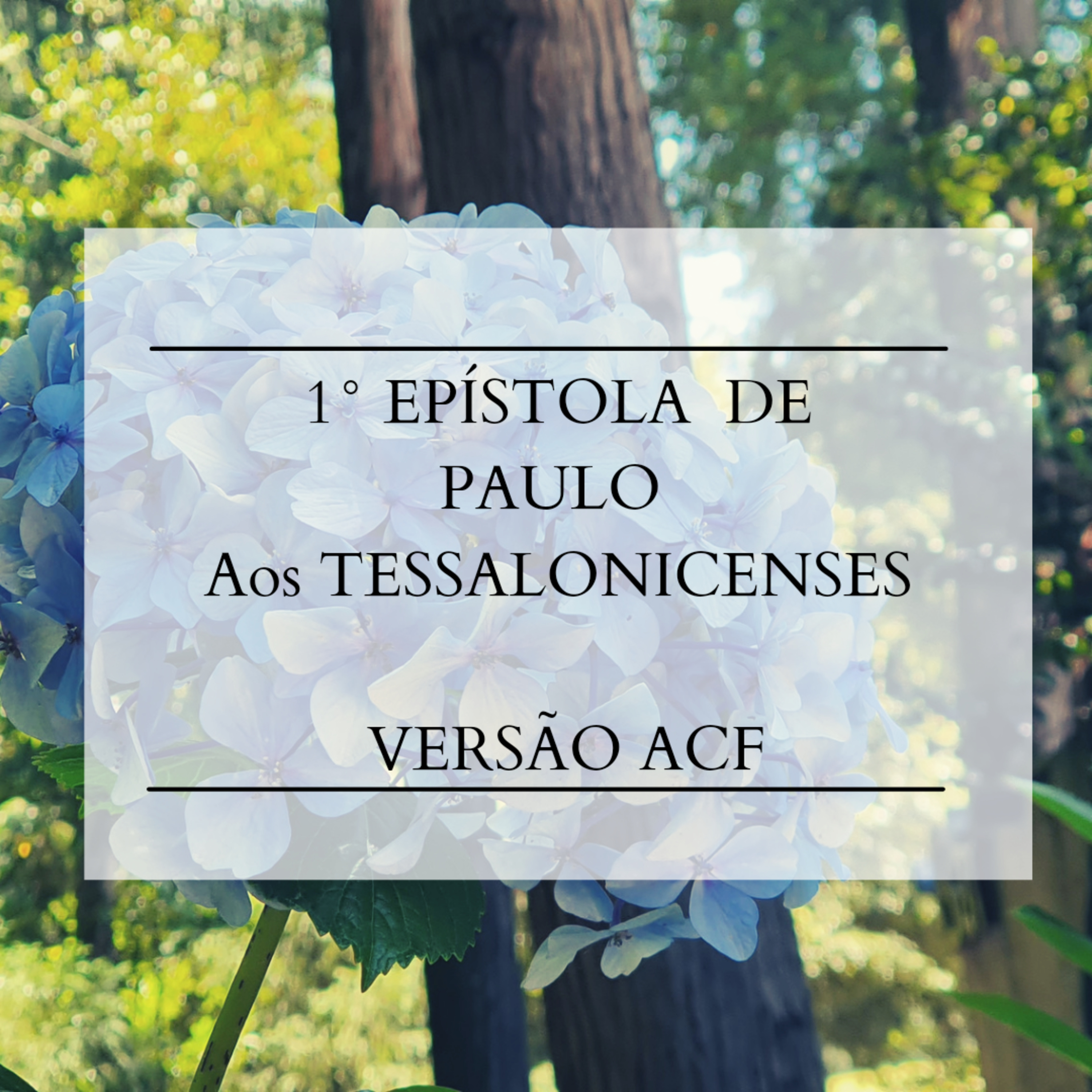 1° Tessalonicenses - Cap. 3 episode artwork