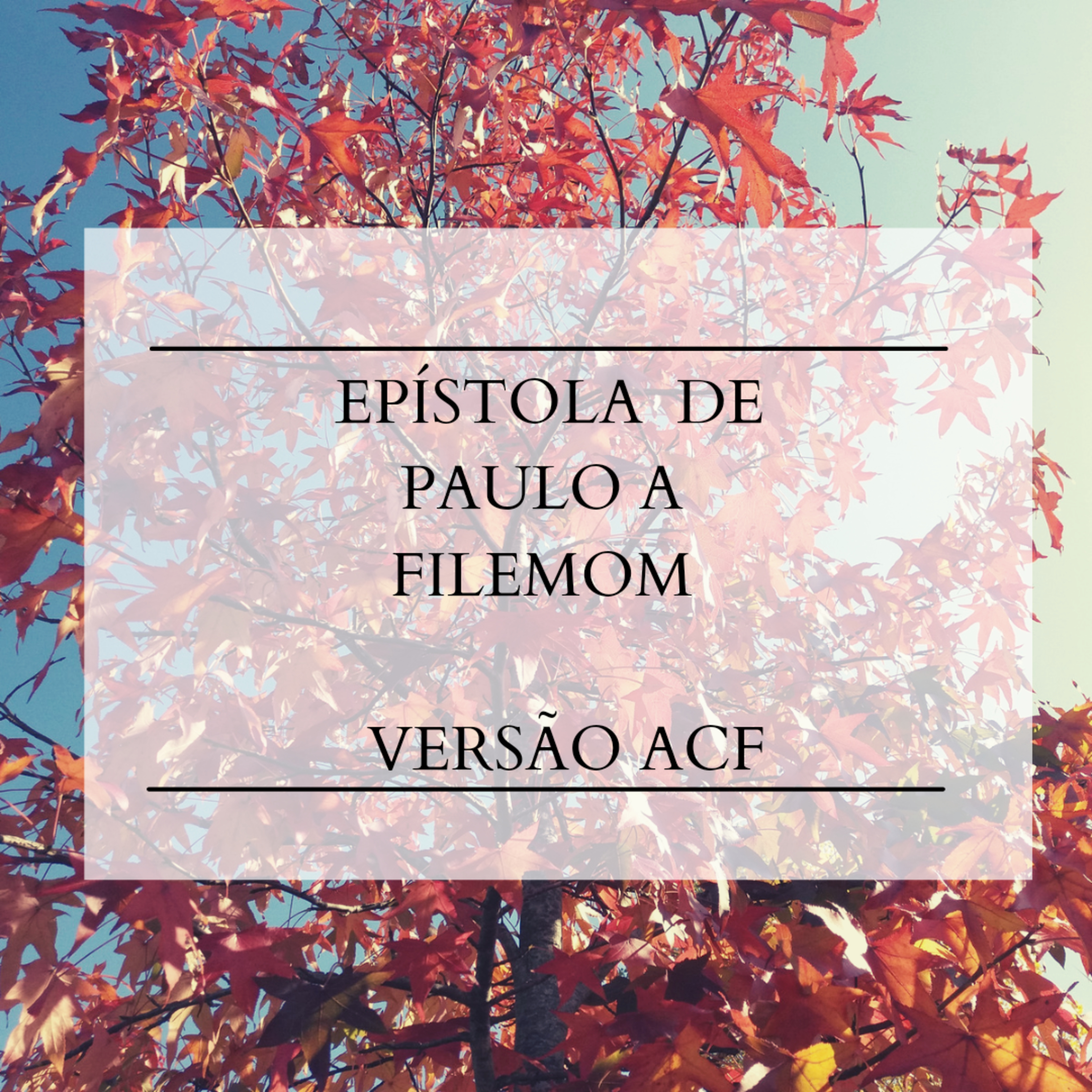 Filemom - Cap. 1 episode artwork