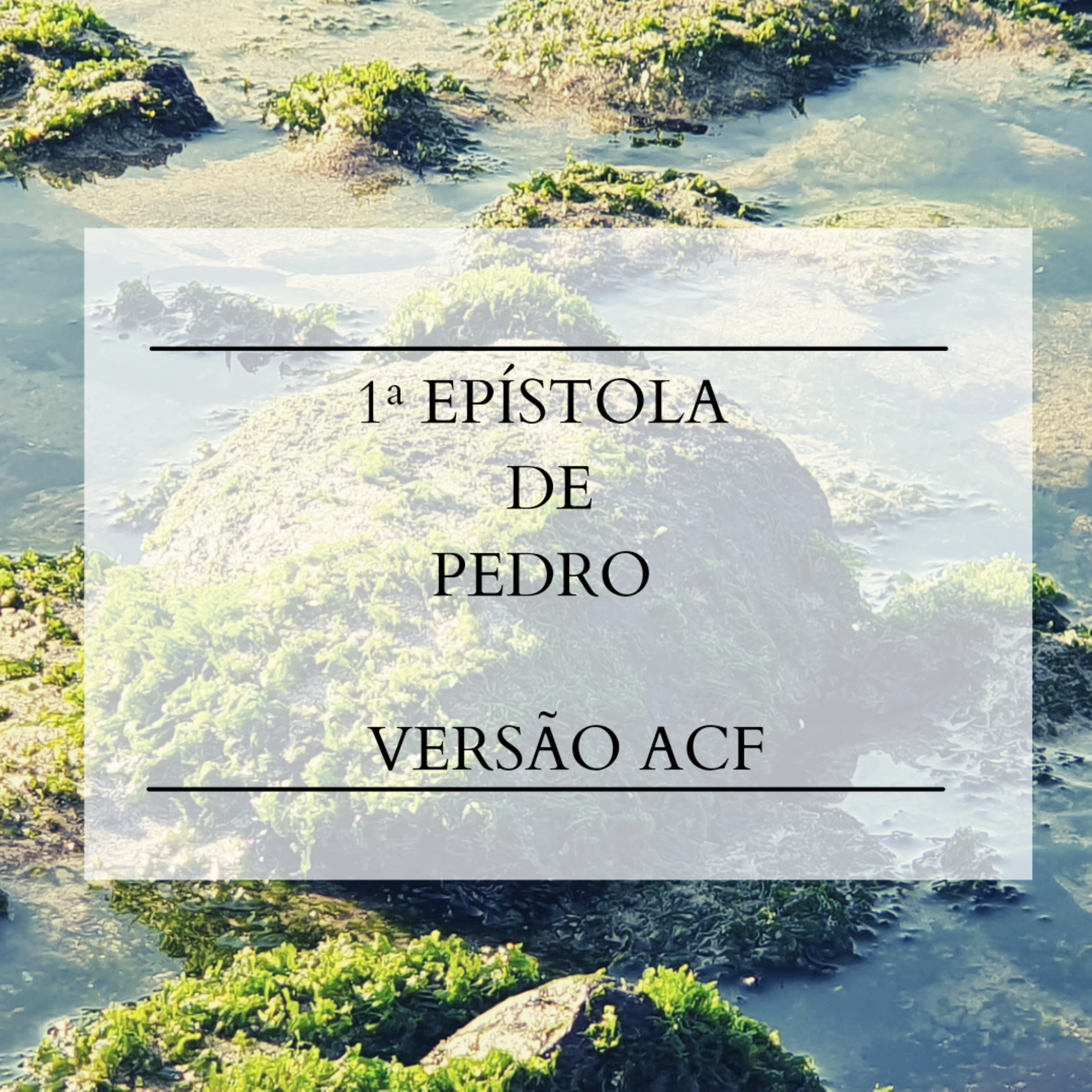 1° Pedro - Cap. 4 episode artwork