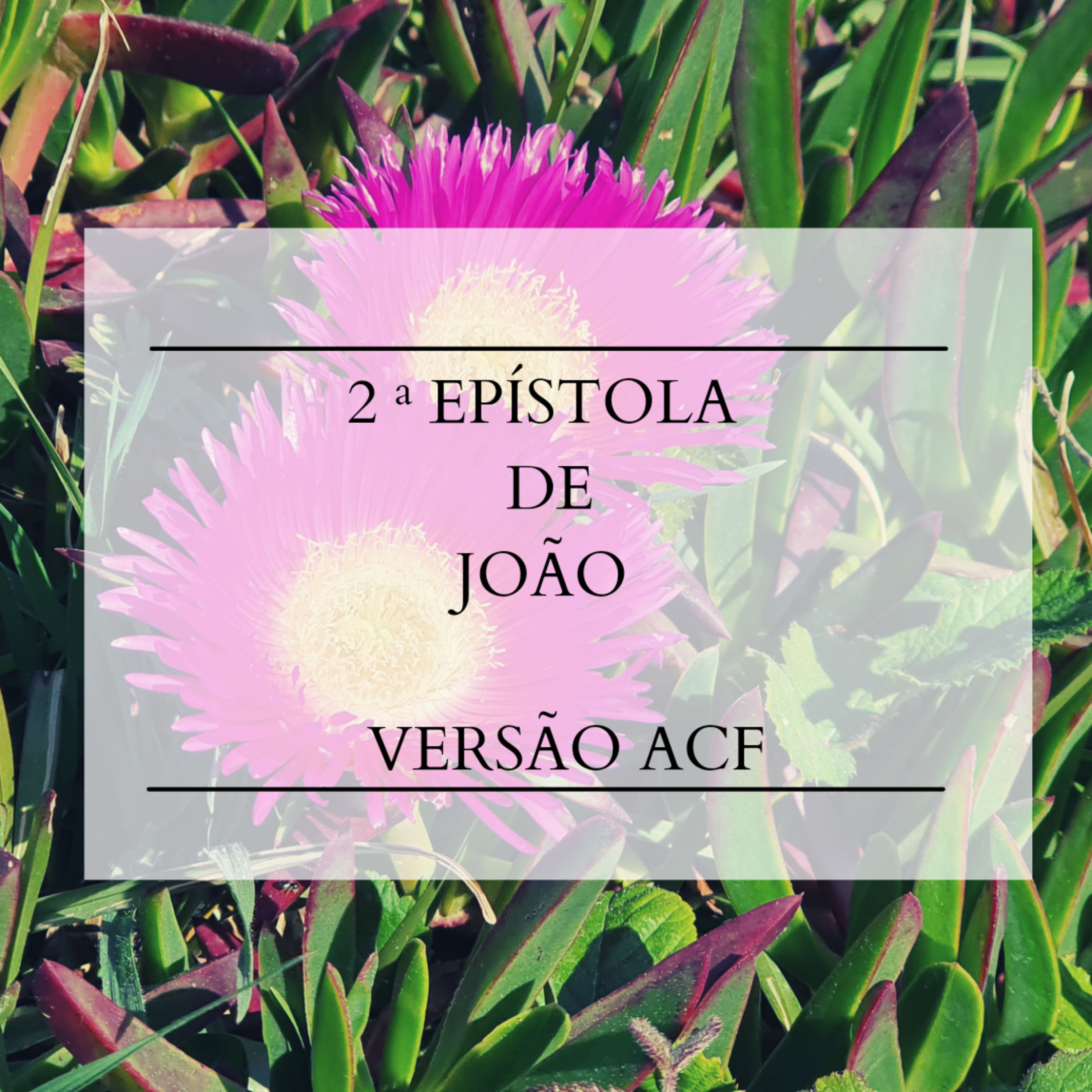 2° João - Cap. 1 episode artwork