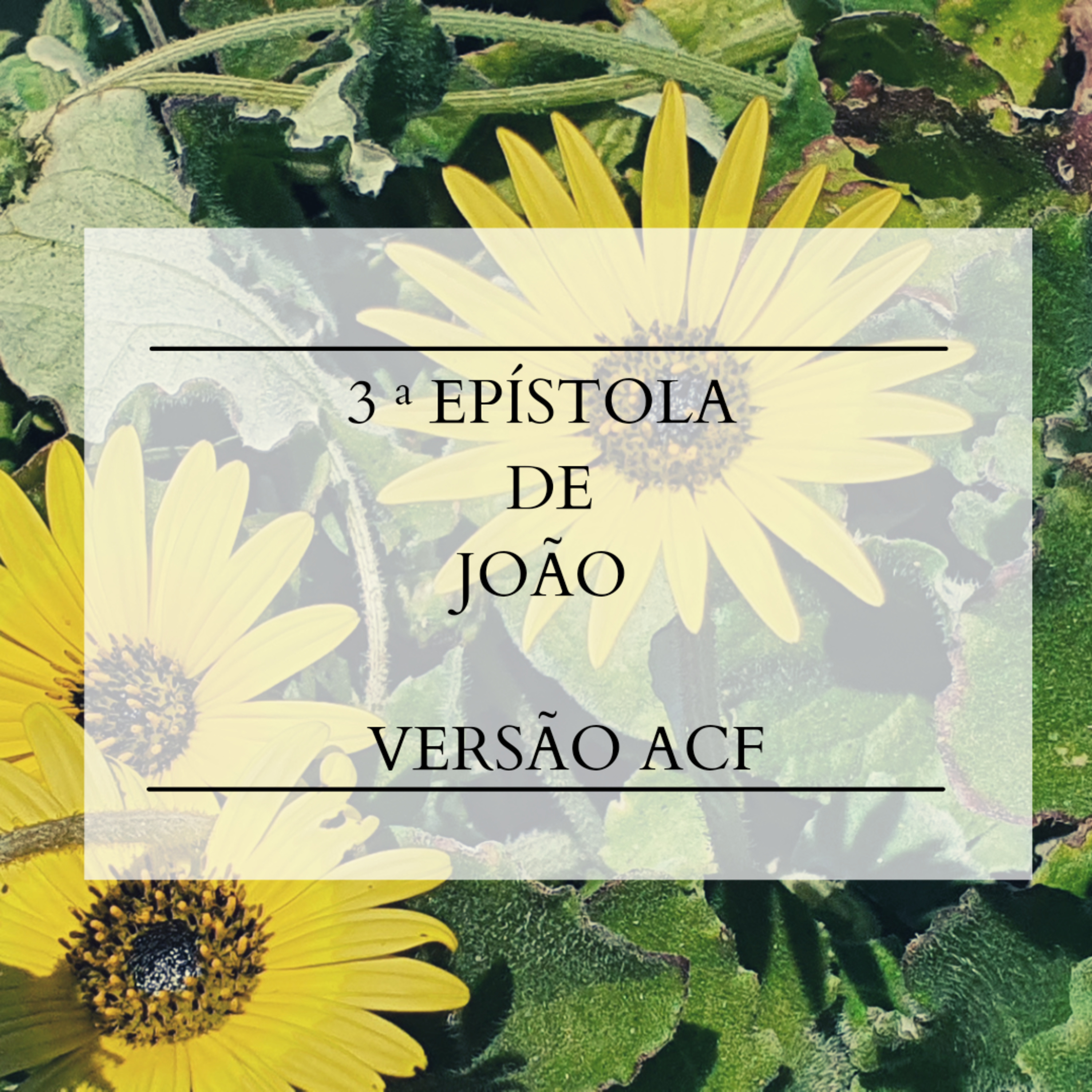 3° João - Cap. 1 episode artwork