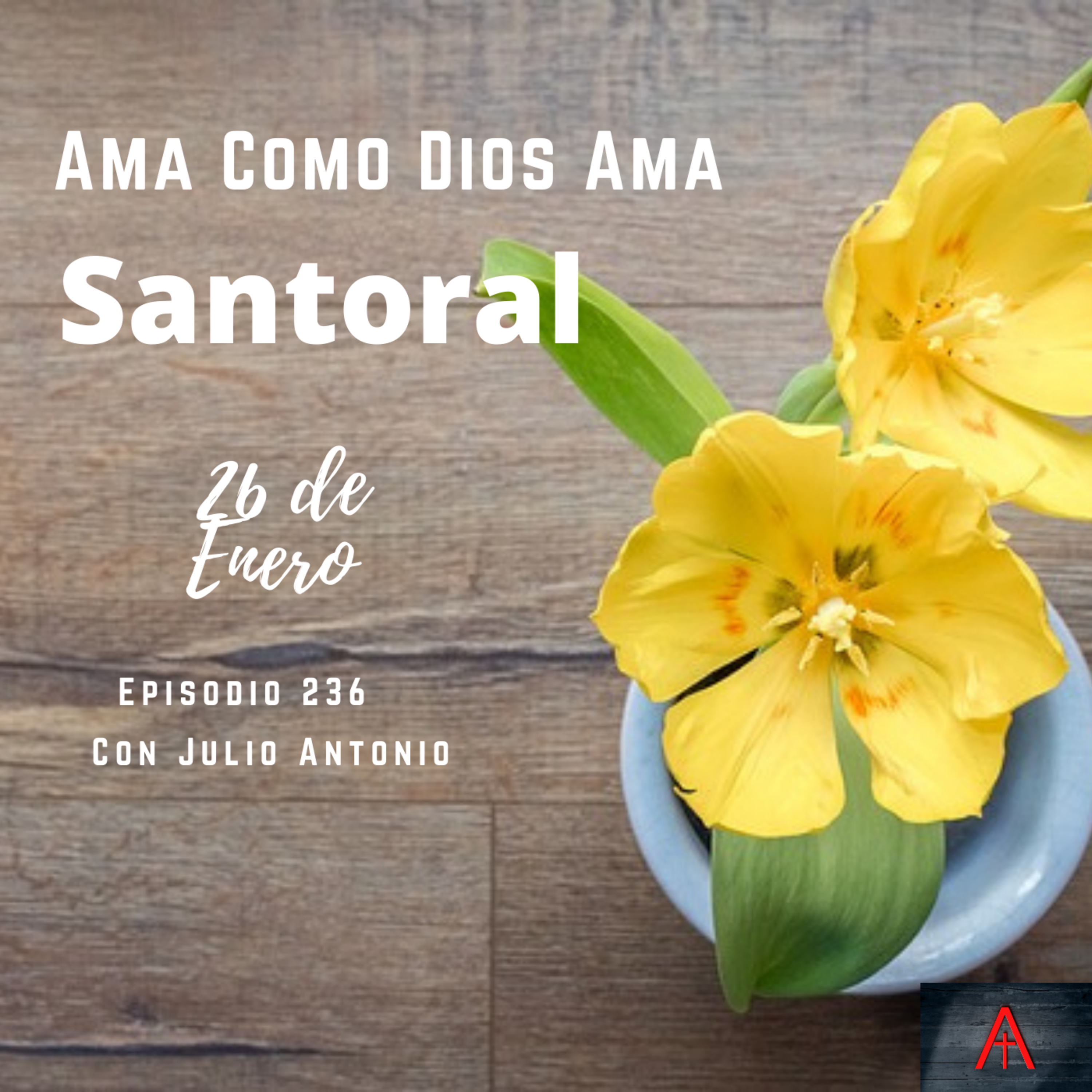 Ama Como Dios Ama