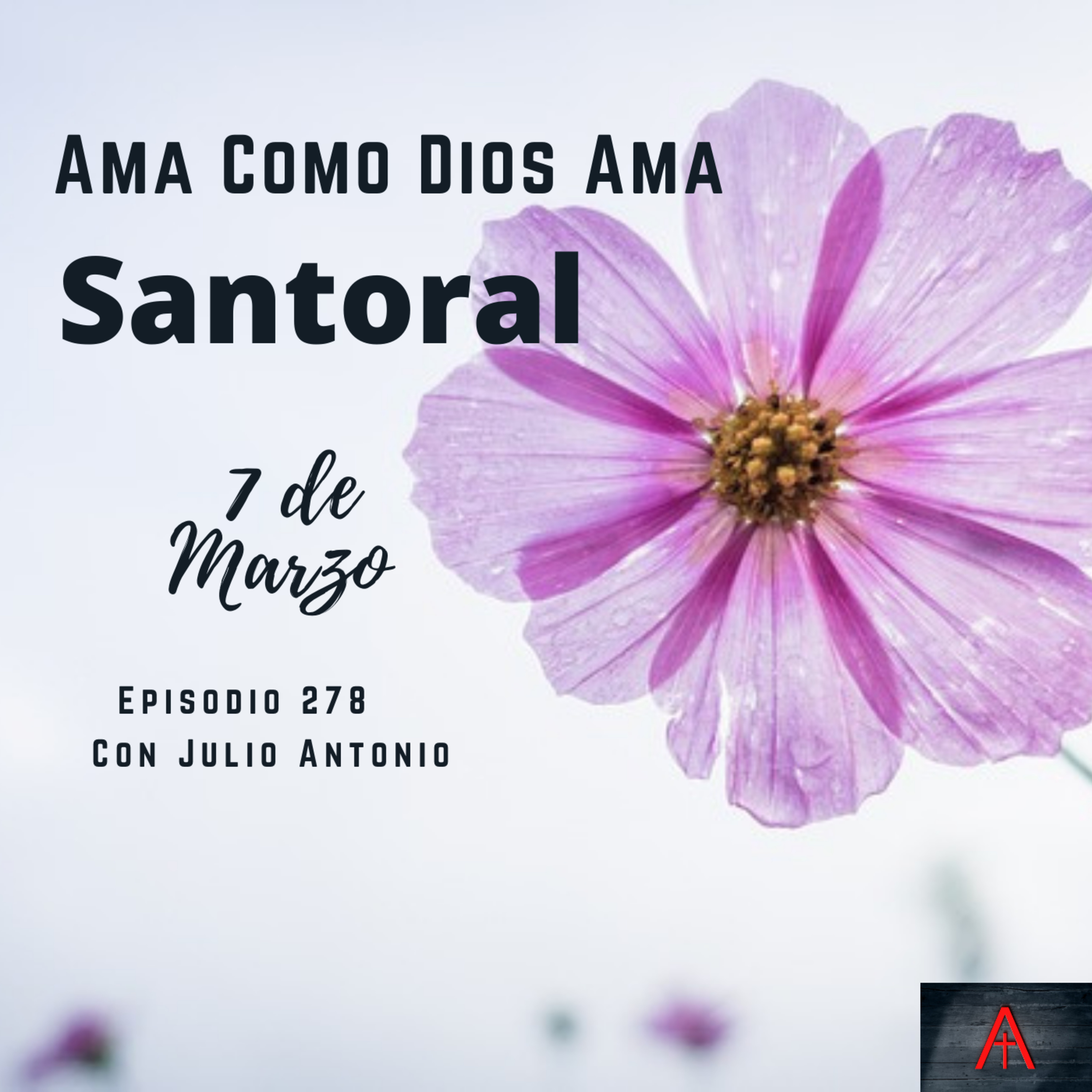Ama Como Dios Ama