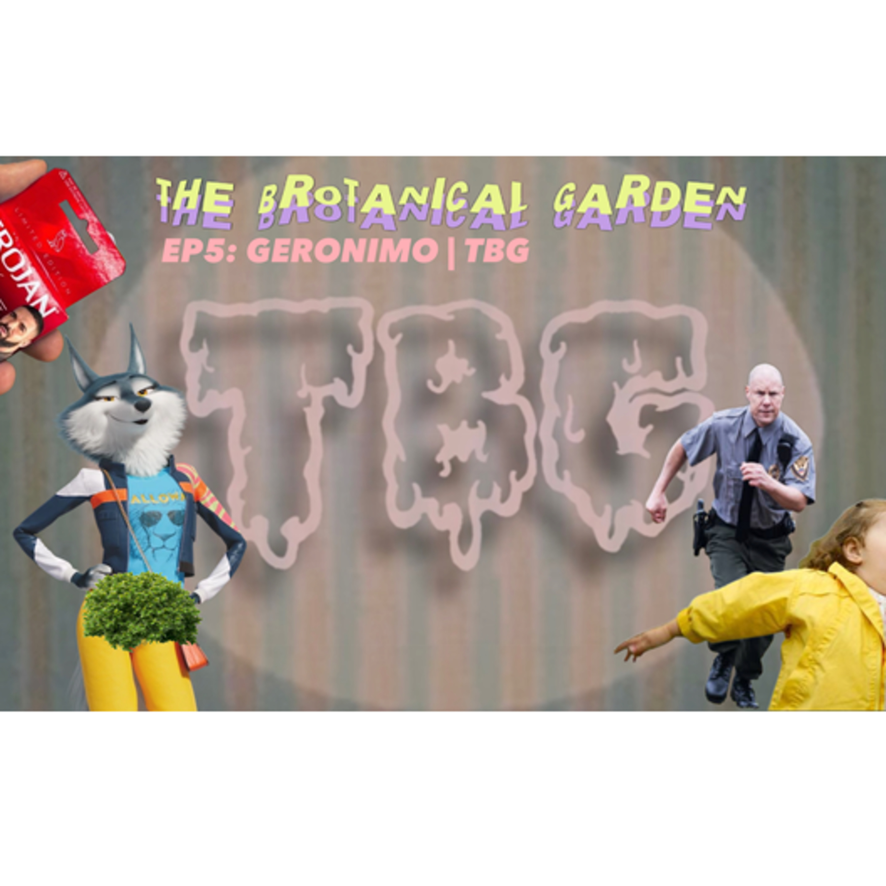 THE BROTANICAL GARDEN
