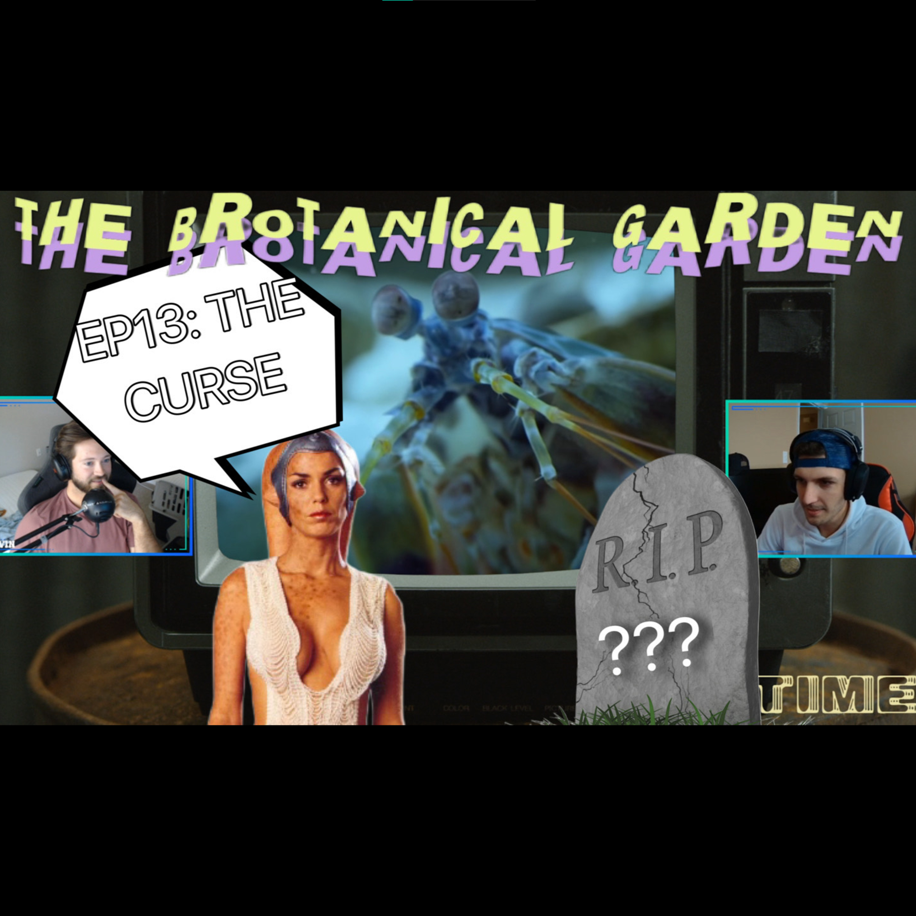 THE BROTANICAL GARDEN