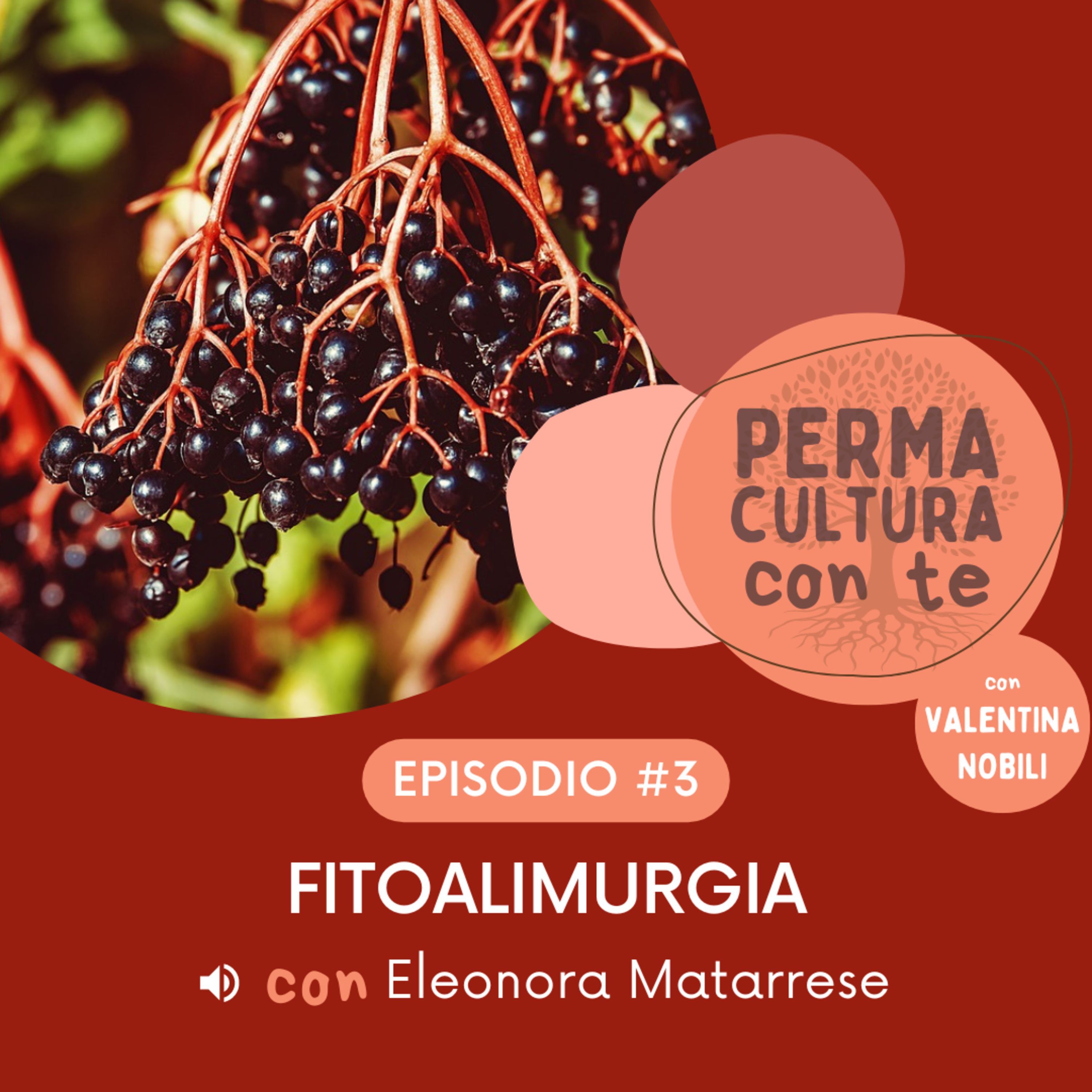 Permacultura Con Te