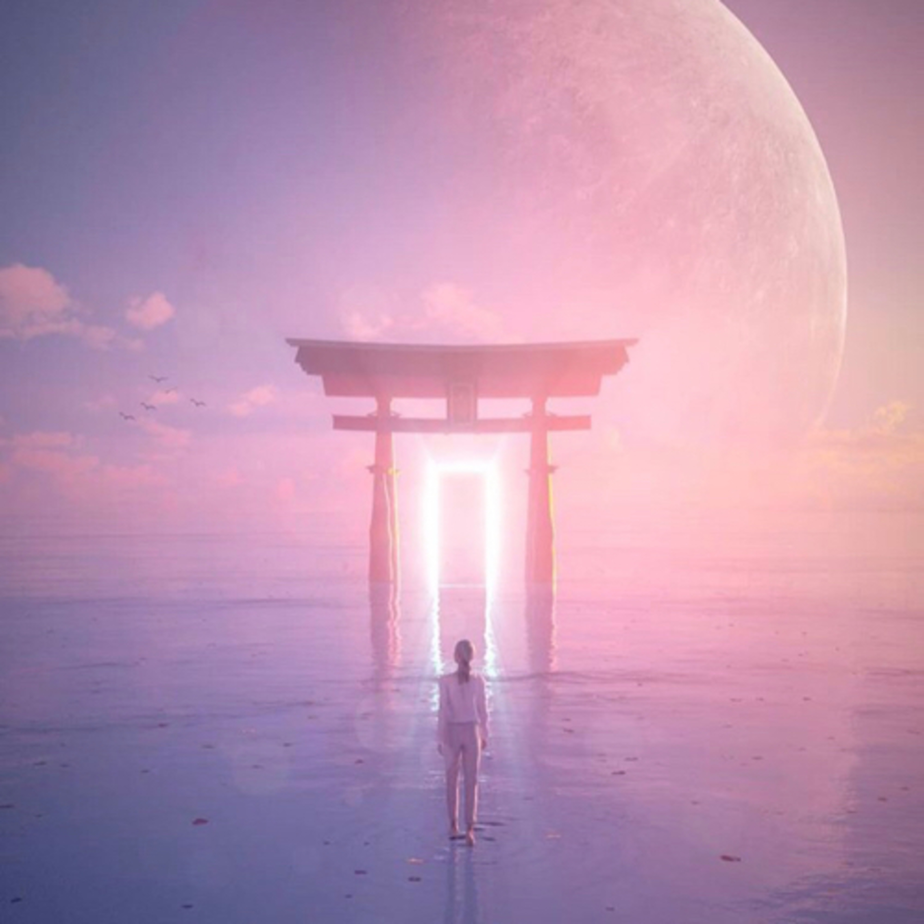 Connection During Corona: Trusting Ourselves Again episode artwork