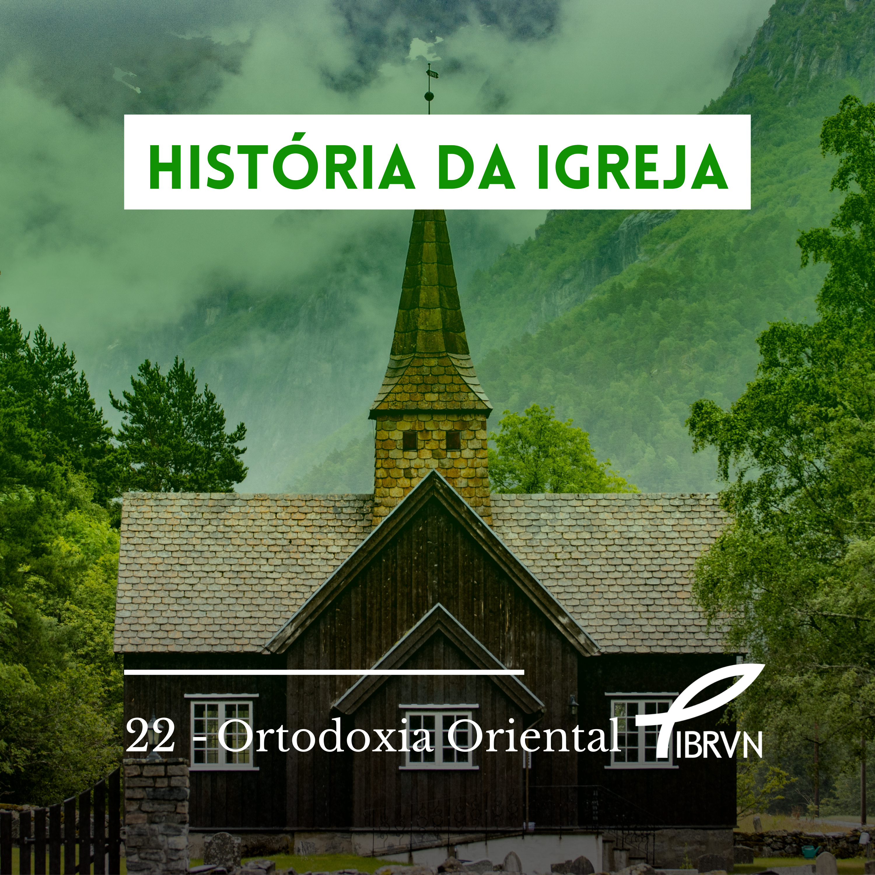 Igreja Batista Reformada Vida Nova