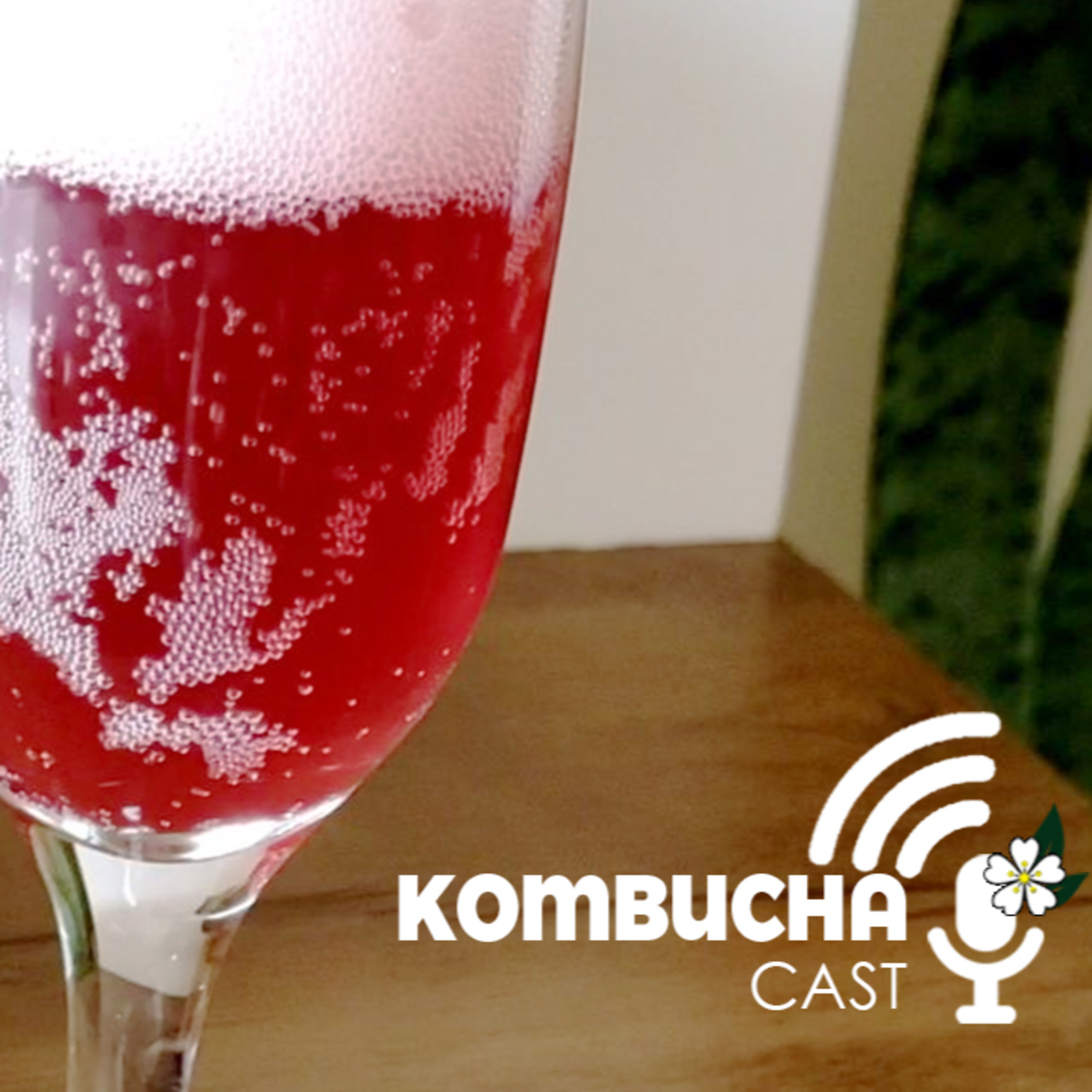 KombuchaCAST