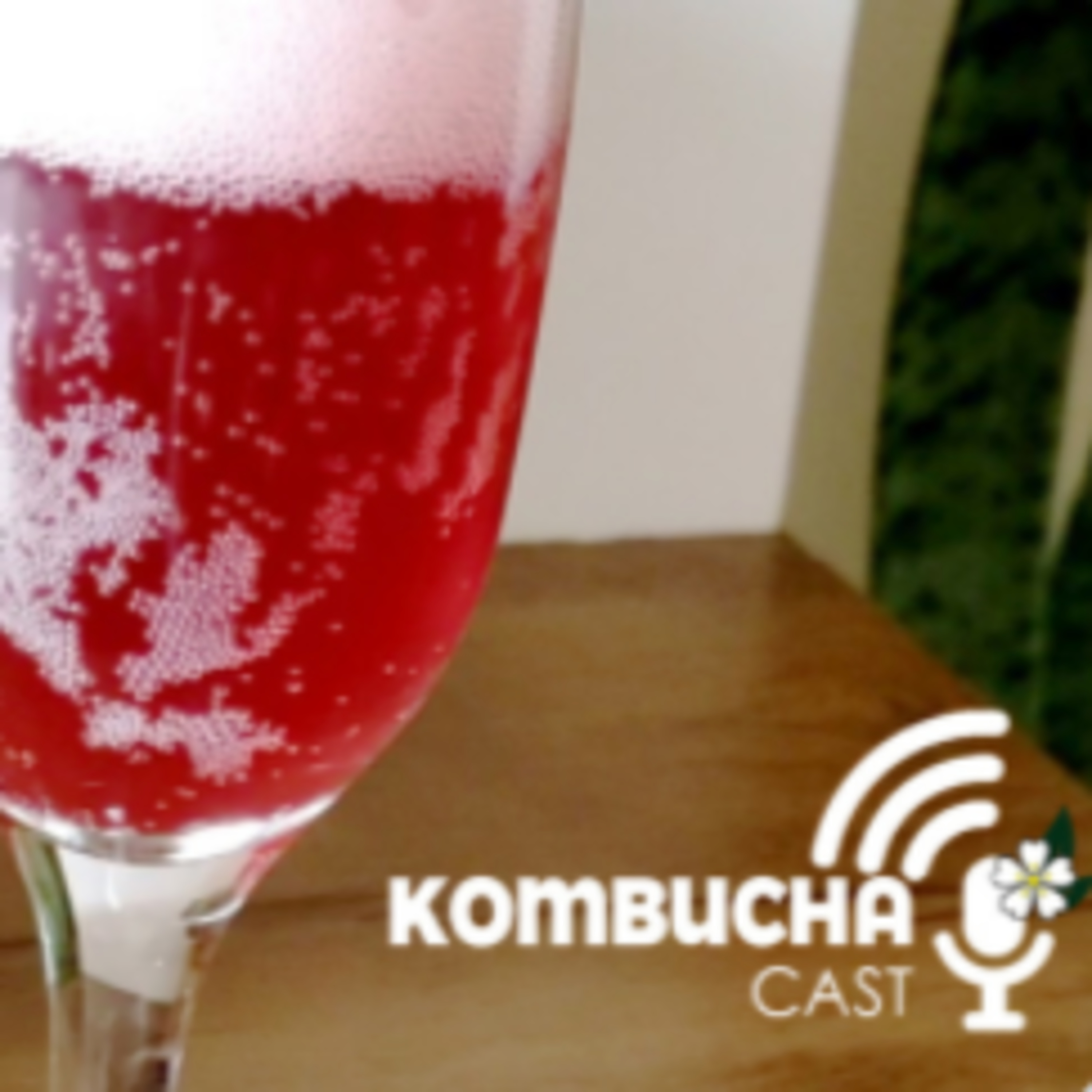 KombuchaCAST