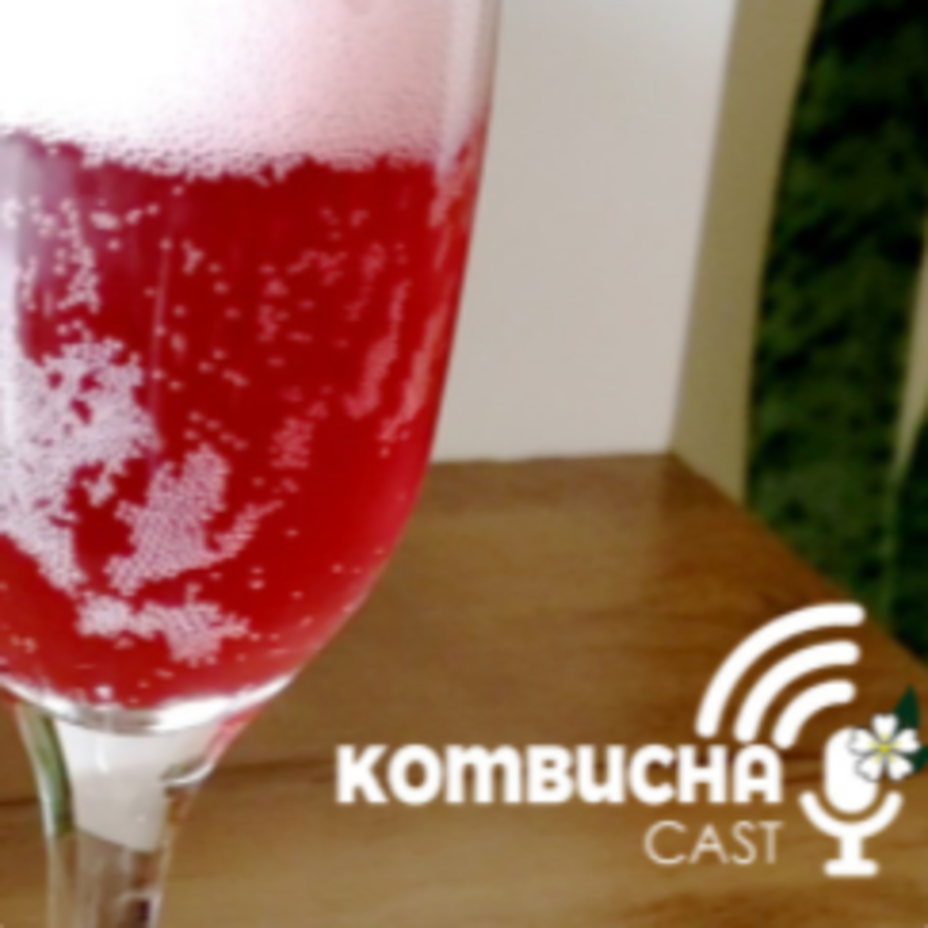KombuchaCAST