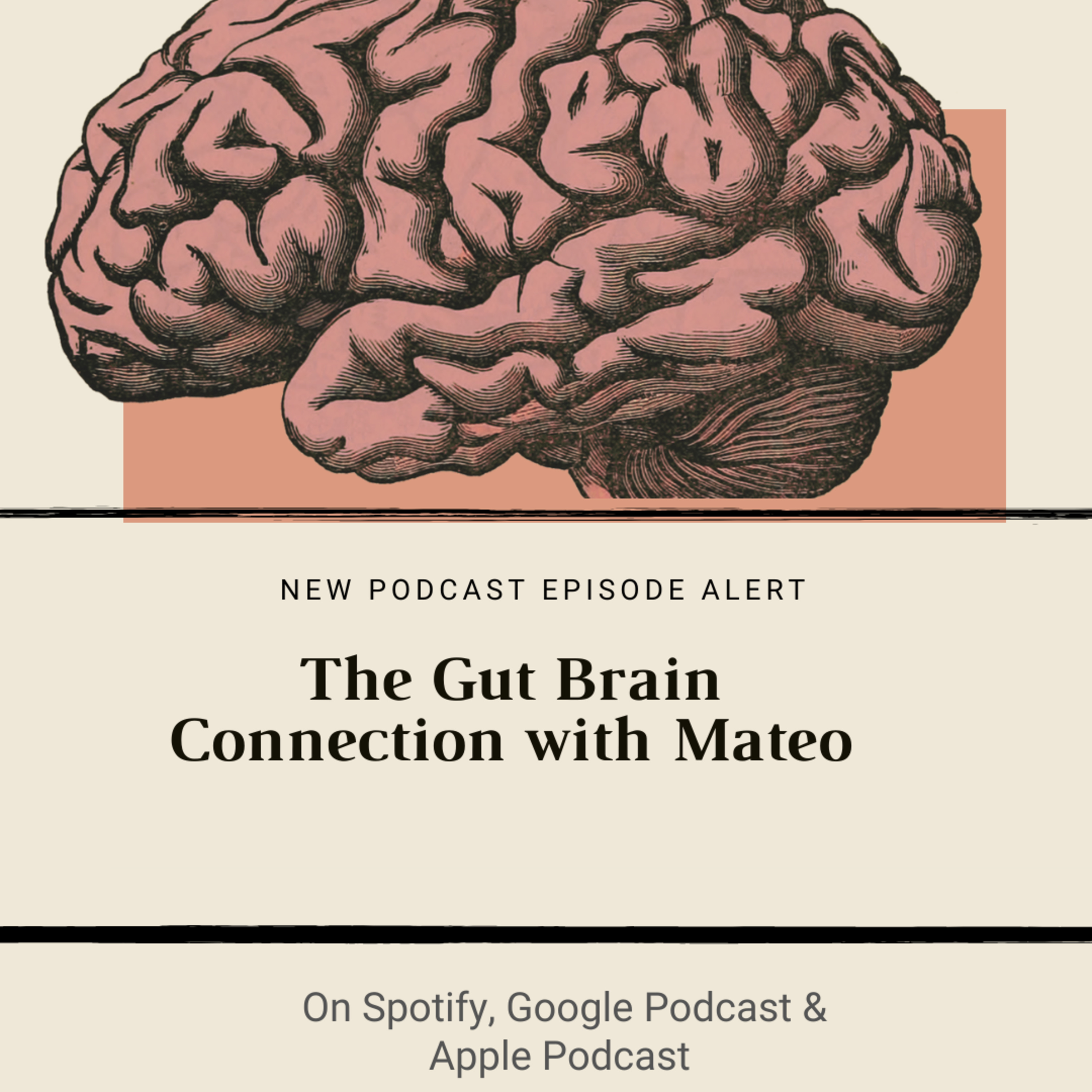 The Fit Fun Podcast
