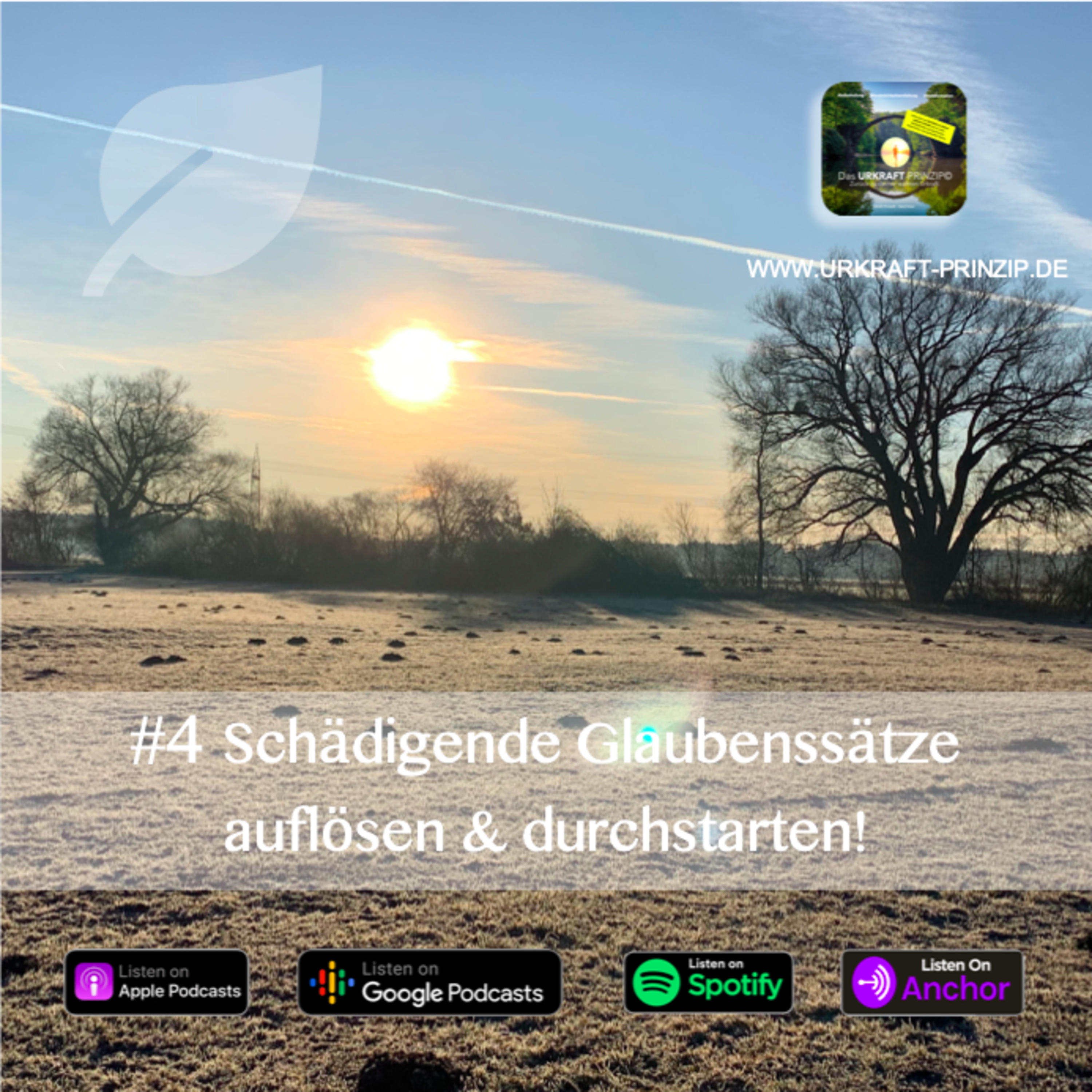 #4 Löse deine schädigenden Glaubenssätze auf und starte durch!