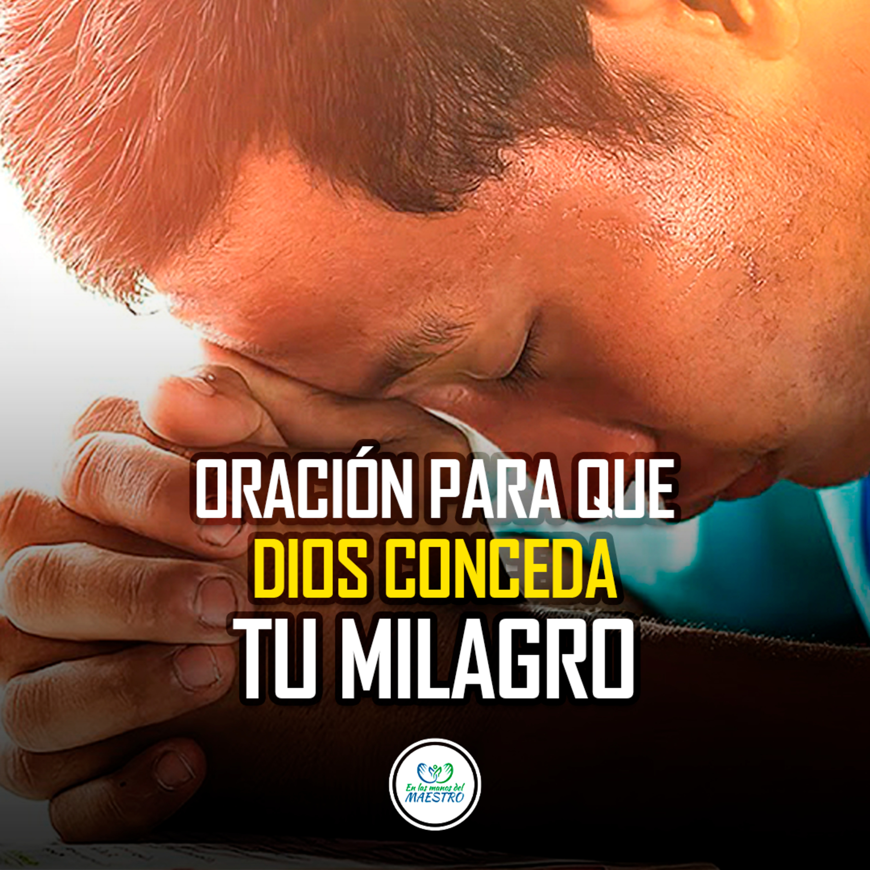 EN LAS MANOS DEL MAESTRO