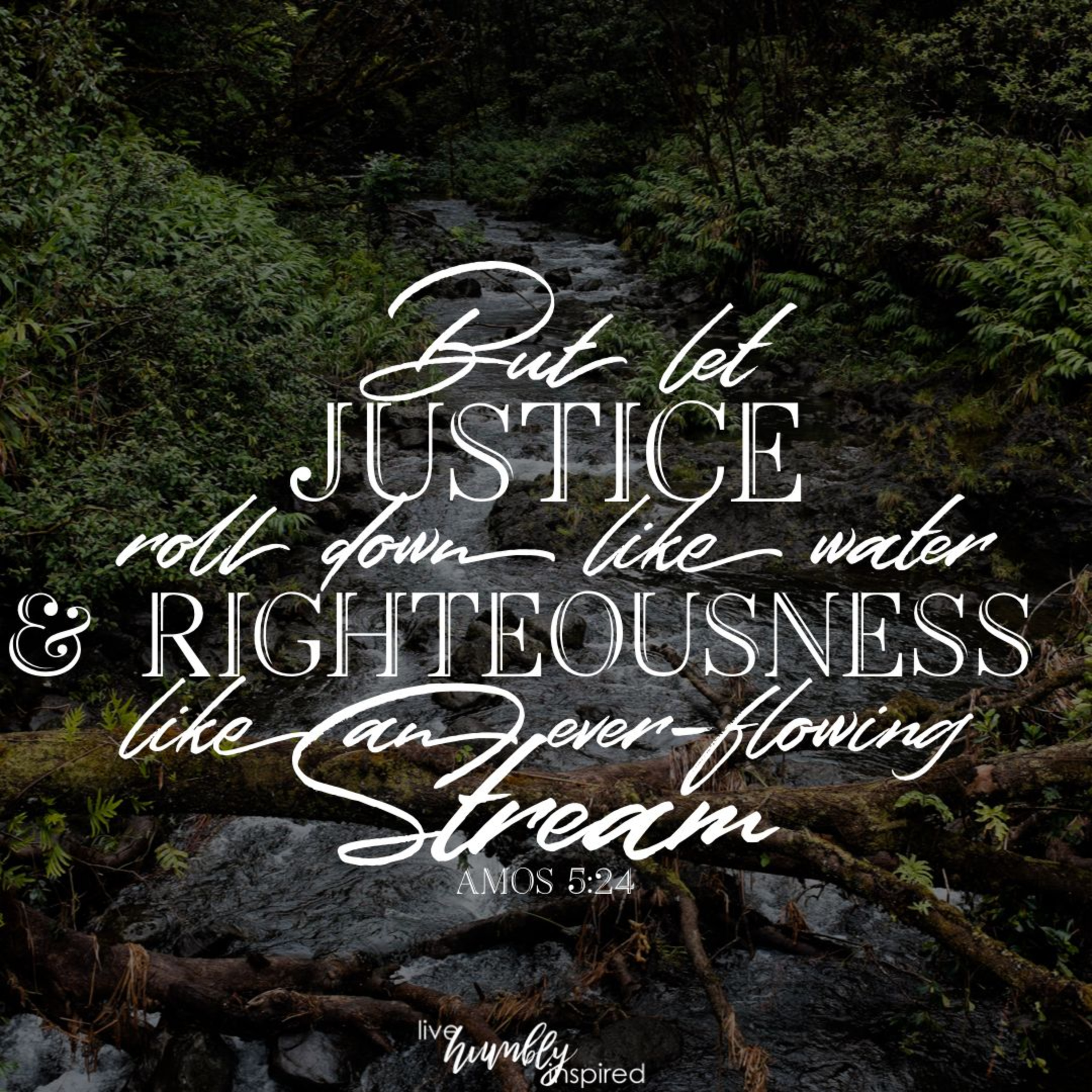 The NMP: What Is to be Done?