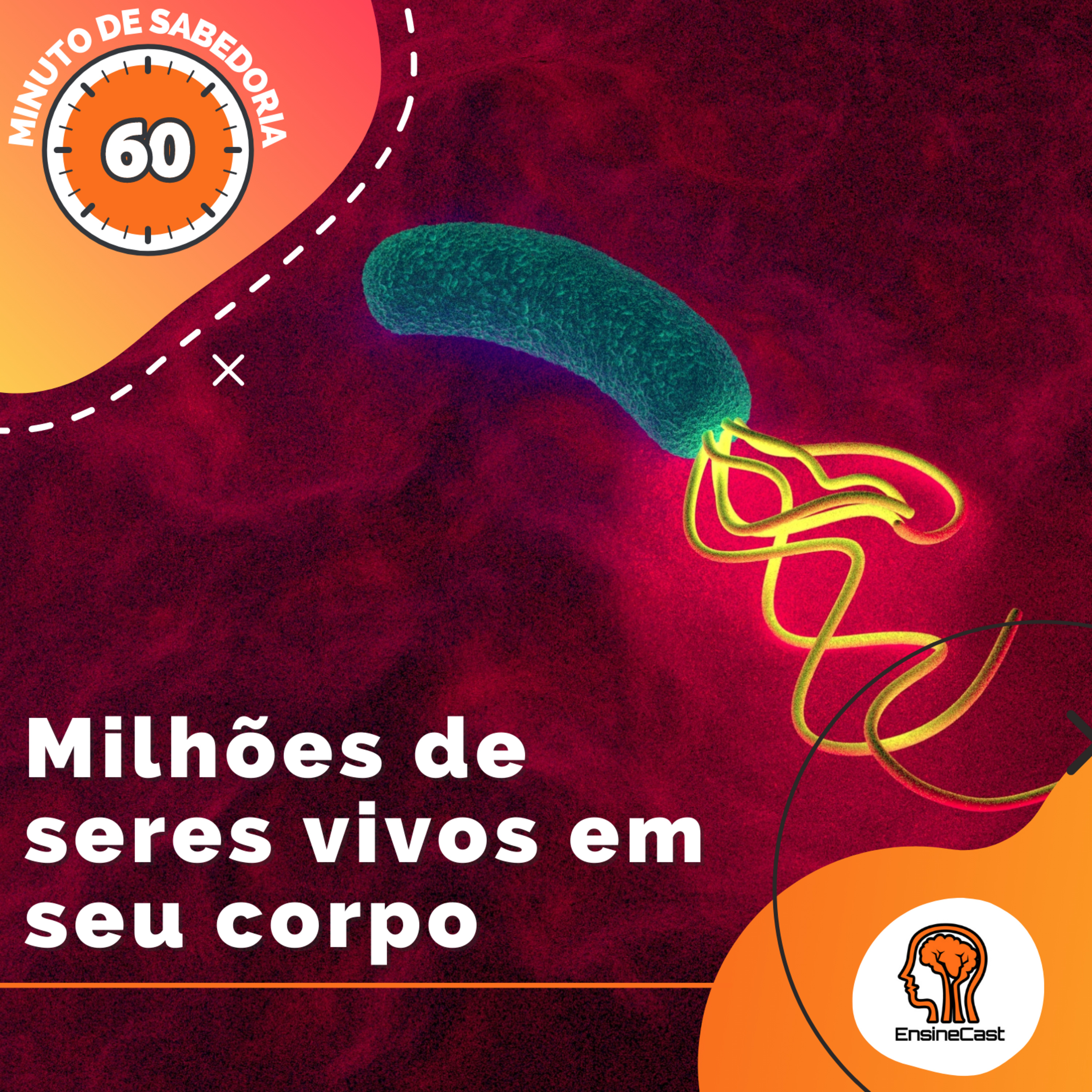 Minuto de sabedoria #3 - Milhões de seres vivos em seu corpo