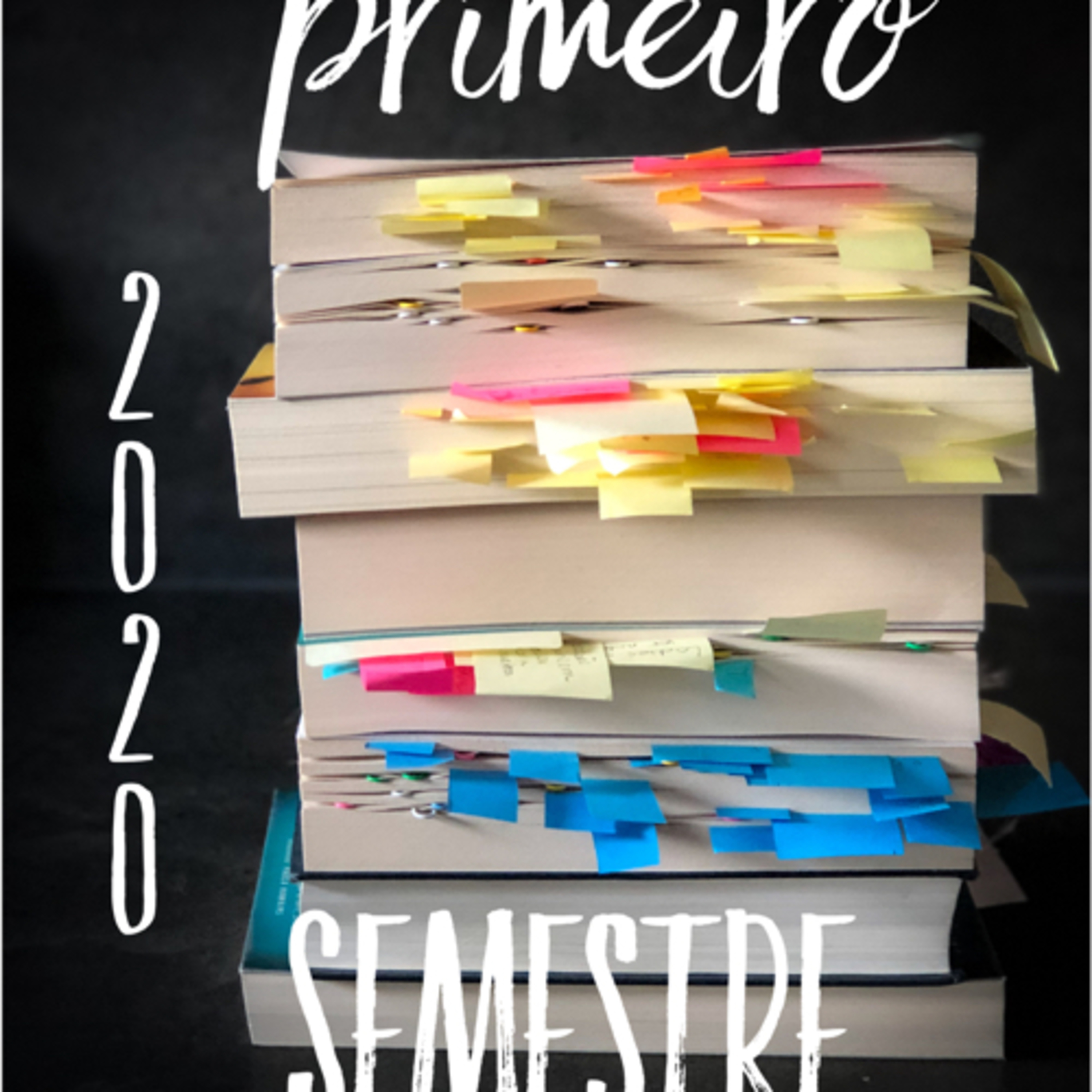 Anatomia do Livro