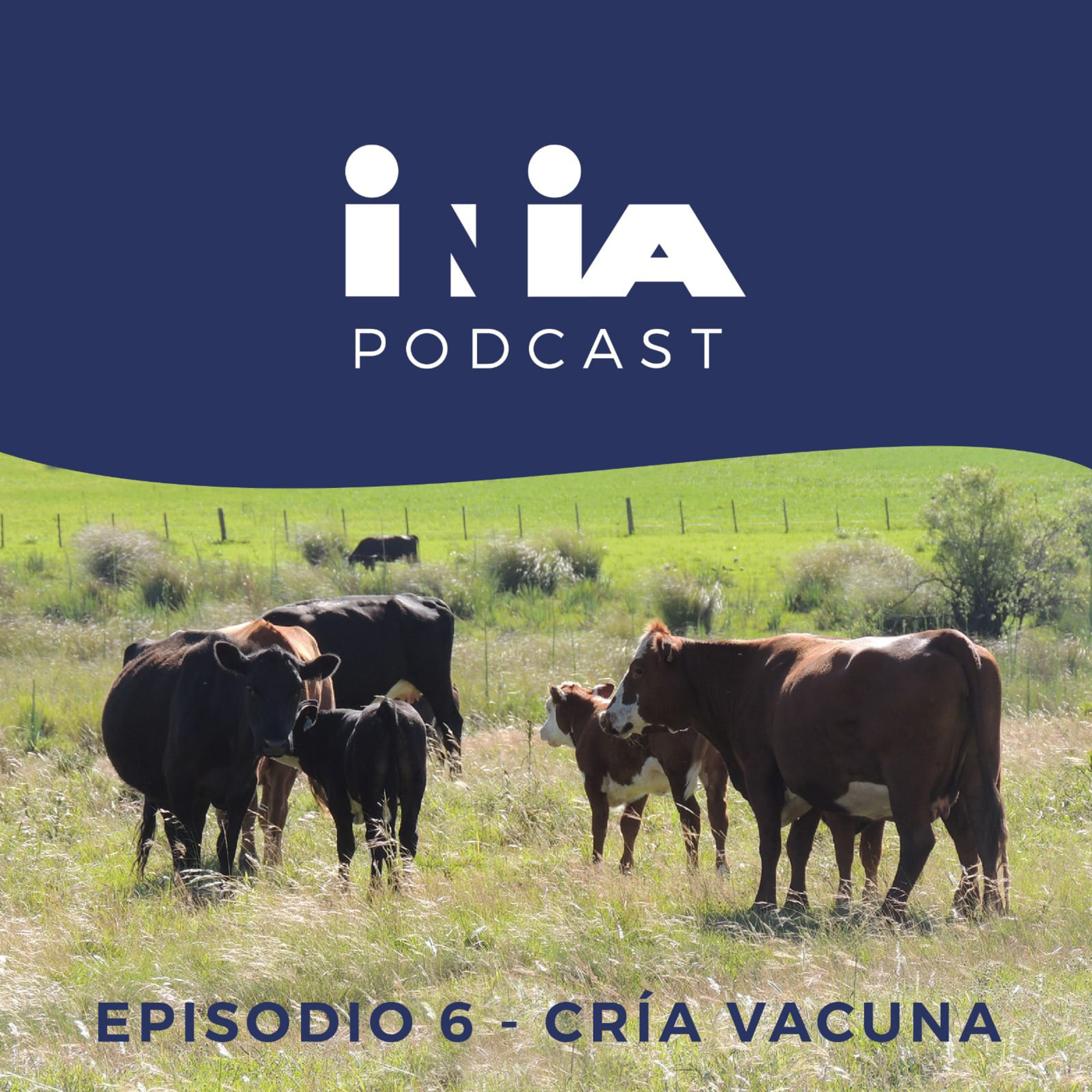 INIA Podcast