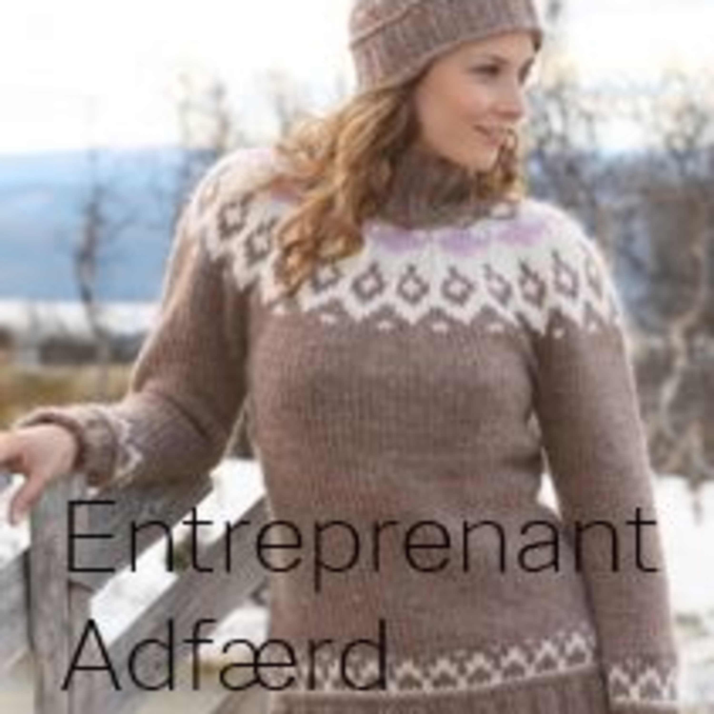 Entreprenant adfærd  episode artwork
