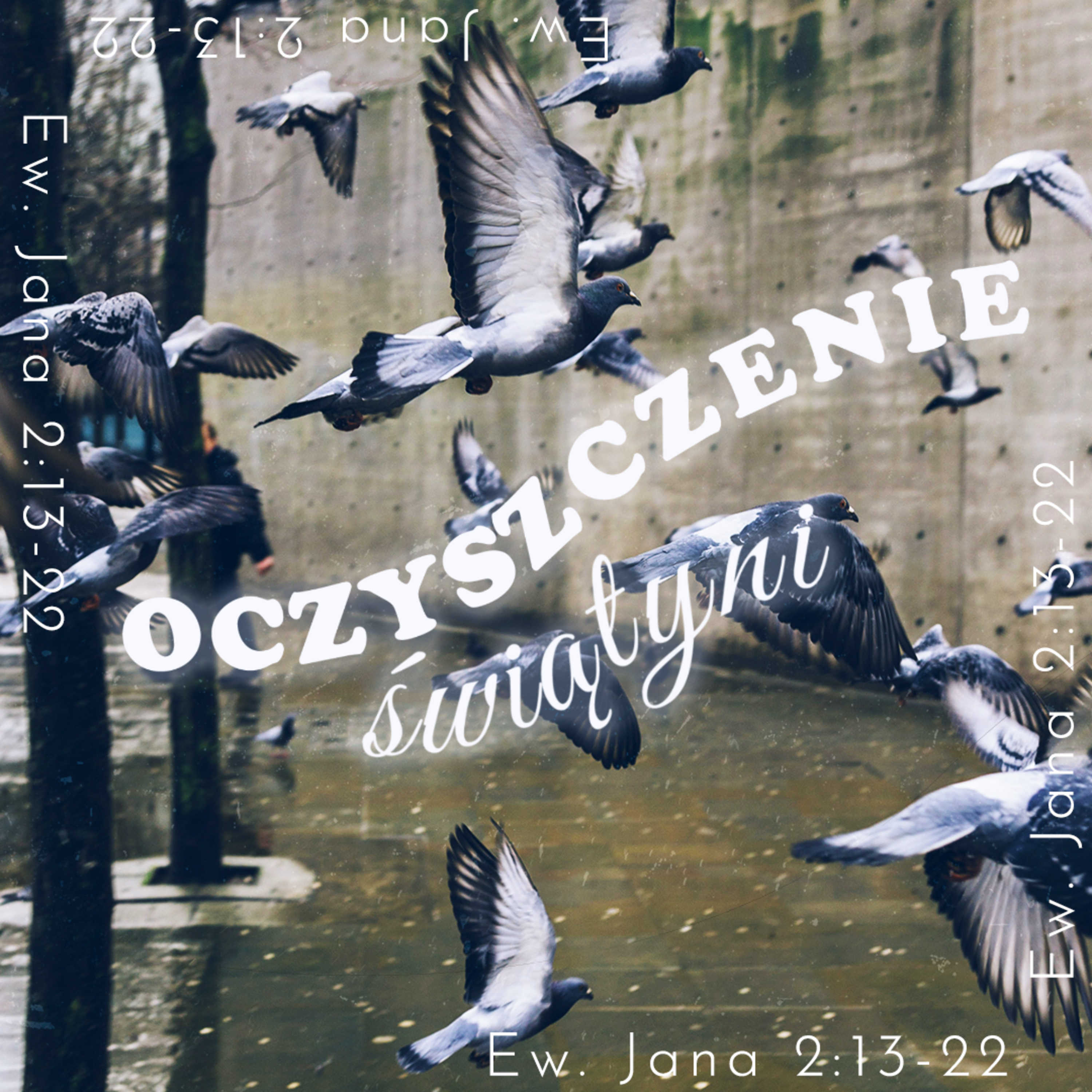 ▶ "Oczyszczenie świątyni" ▷ Tymoteusz Mysakowski - Ew. Jana 2:13-22  episode artwork