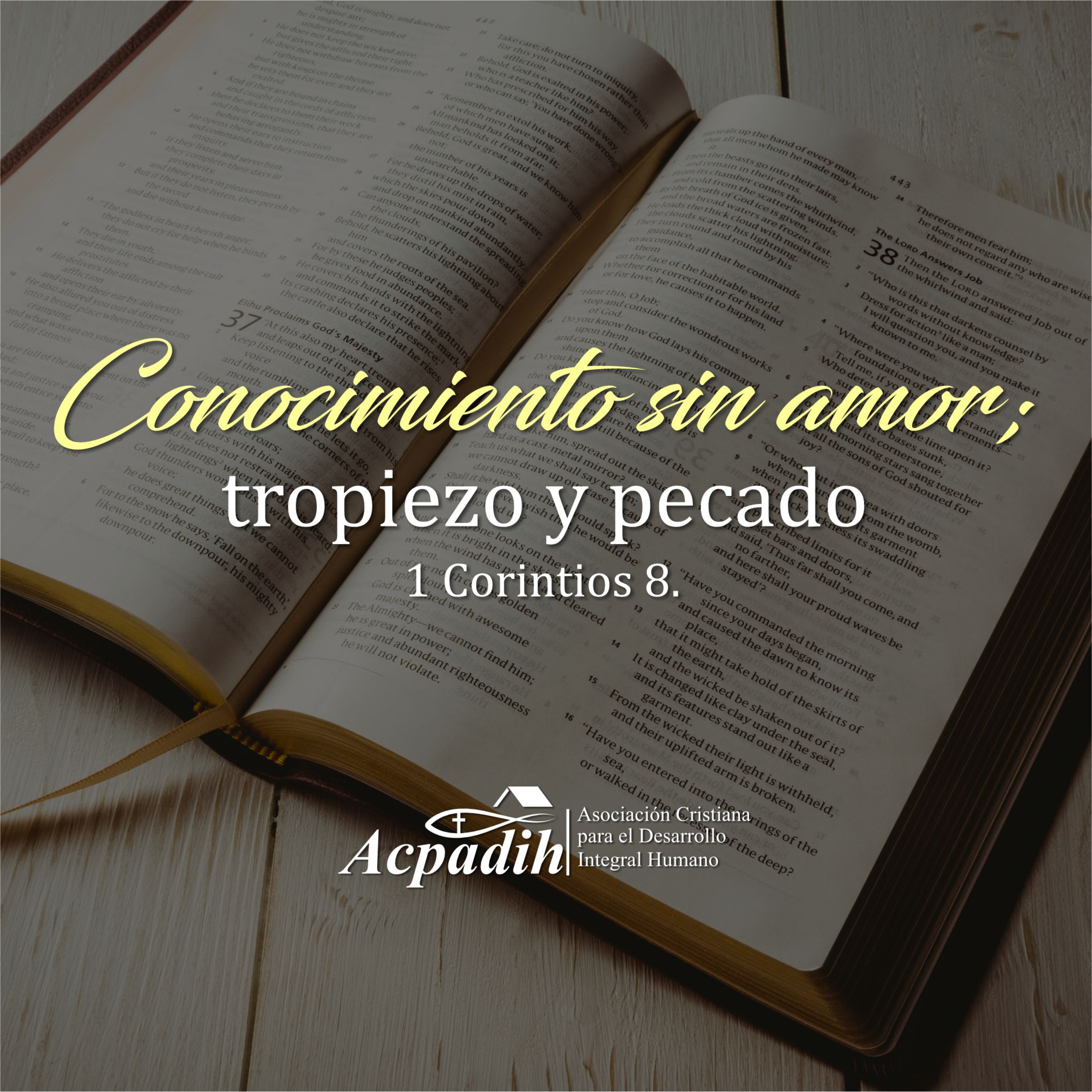 Portada de Acpadih