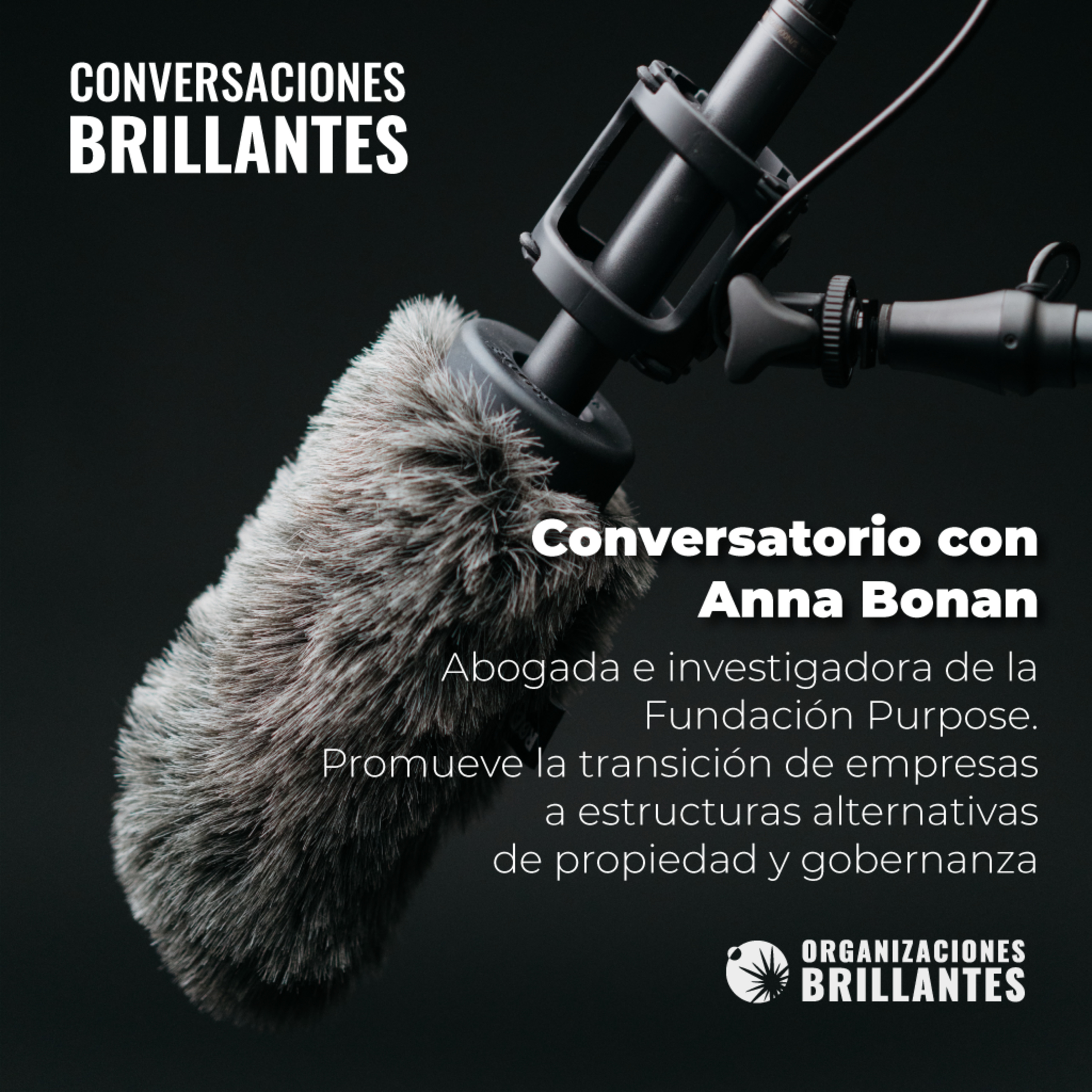 Conversaciones Brillantes