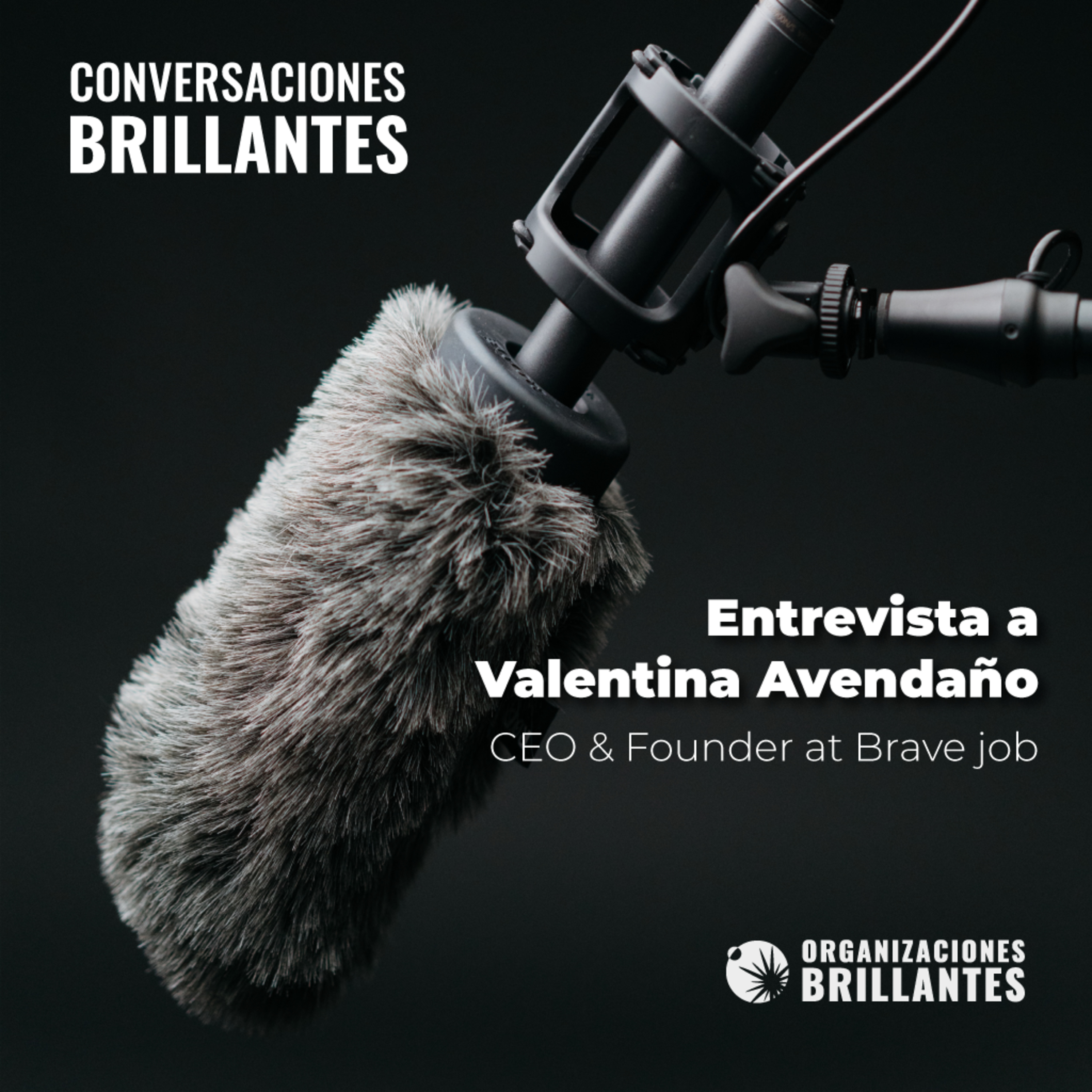 Conversaciones Brillantes