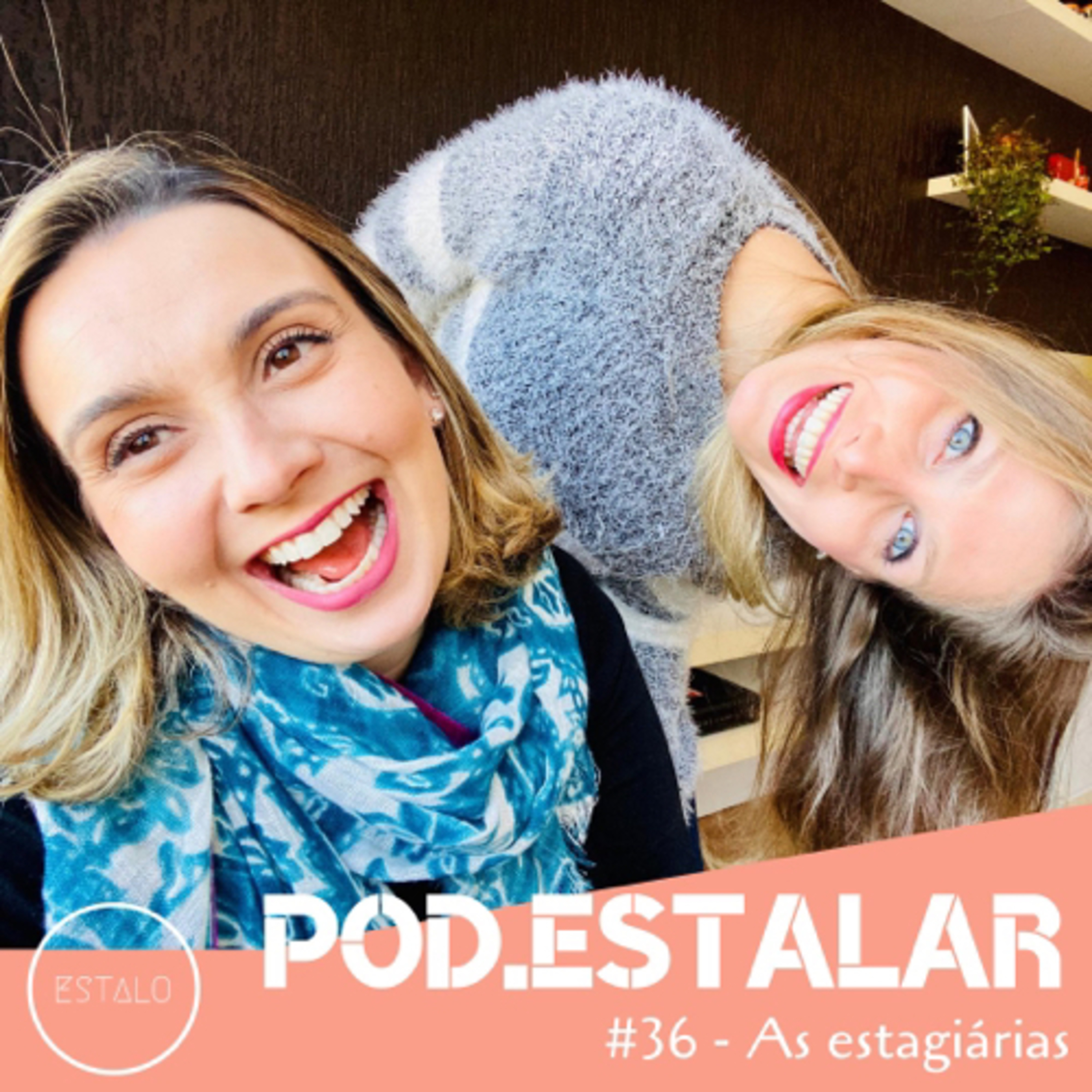 As estagiárias episode artwork