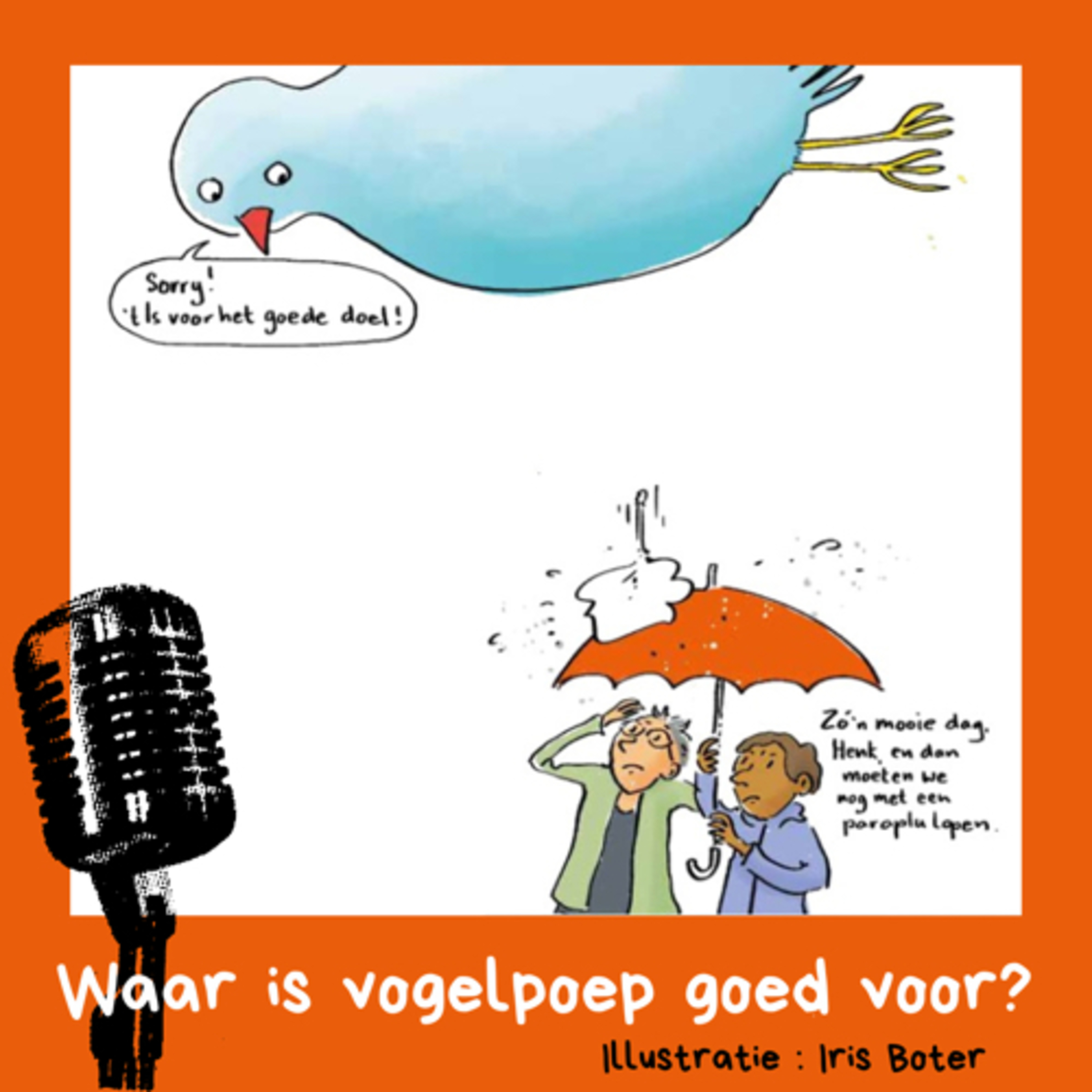Waar is vogelpoep goed voor? En waarom is het wit?