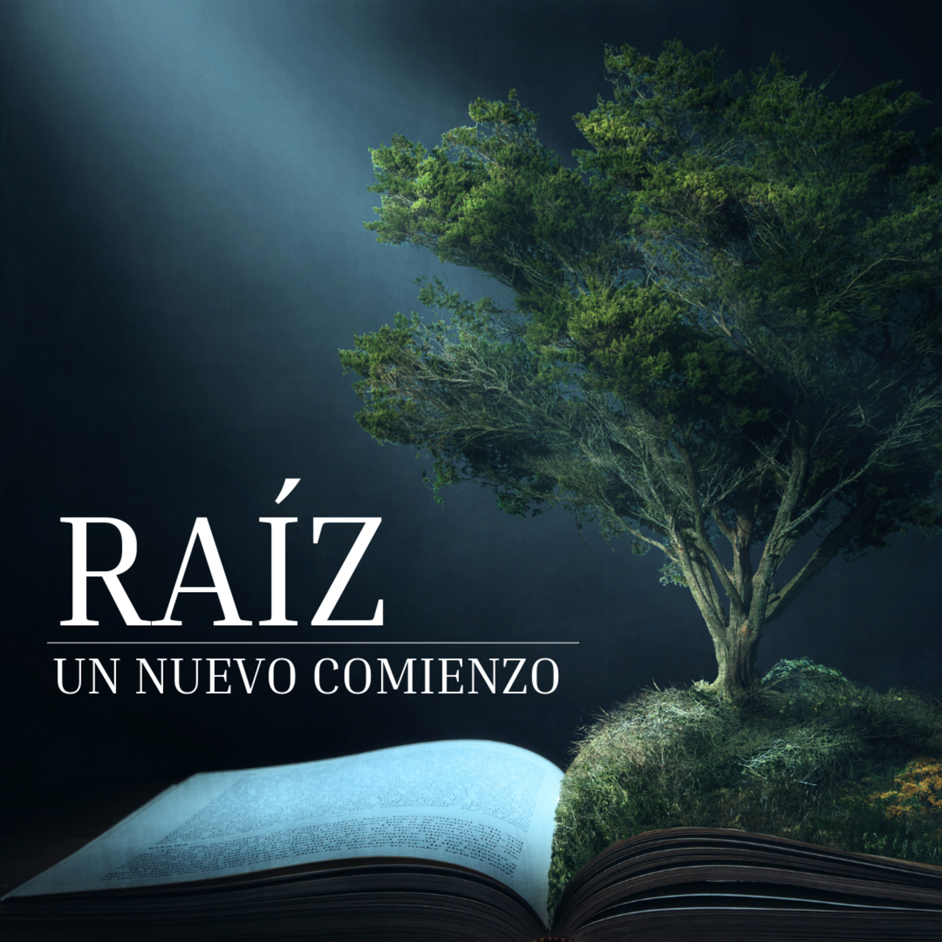 No caigas en la trampa  episode artwork