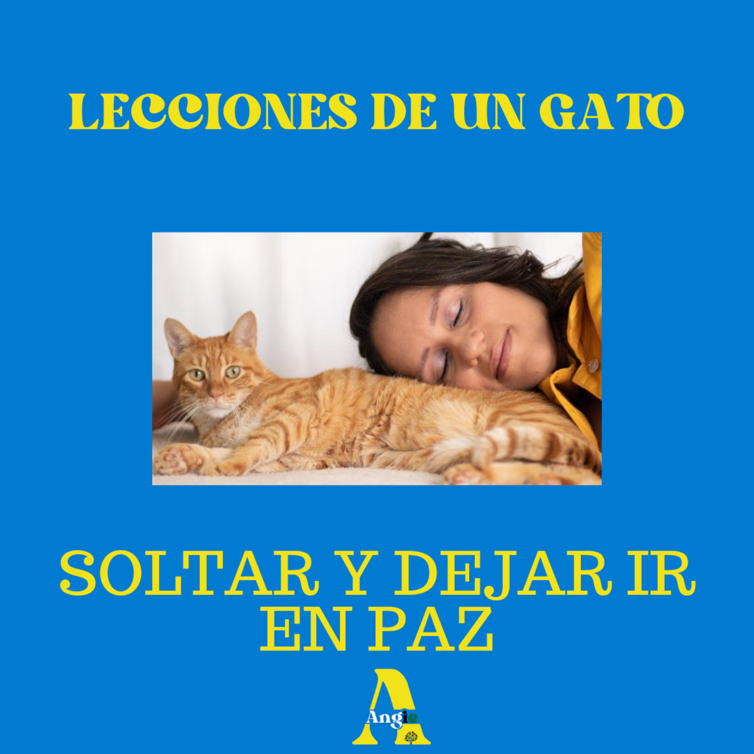 Finanzas y Emociones