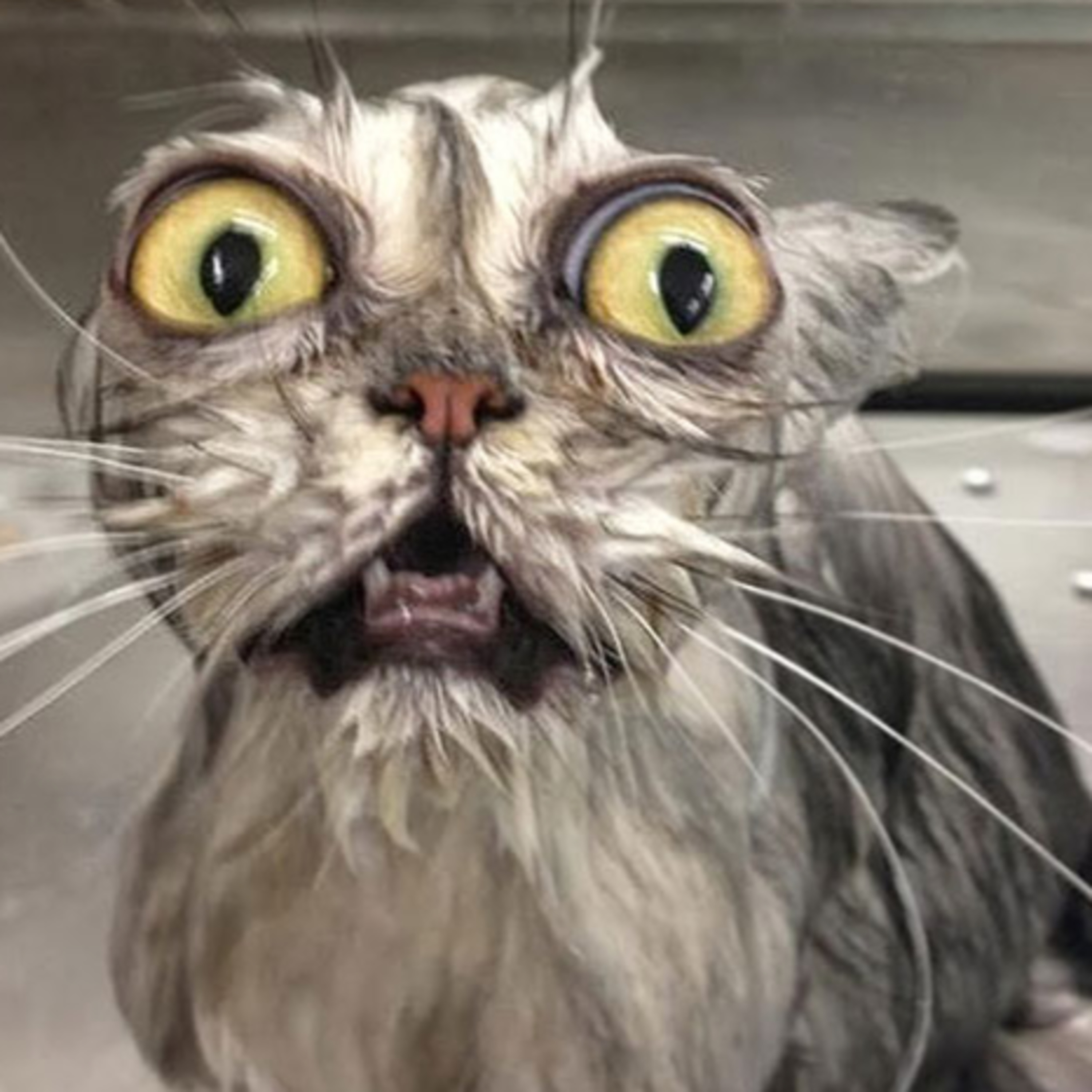 The Background Noise Podcast