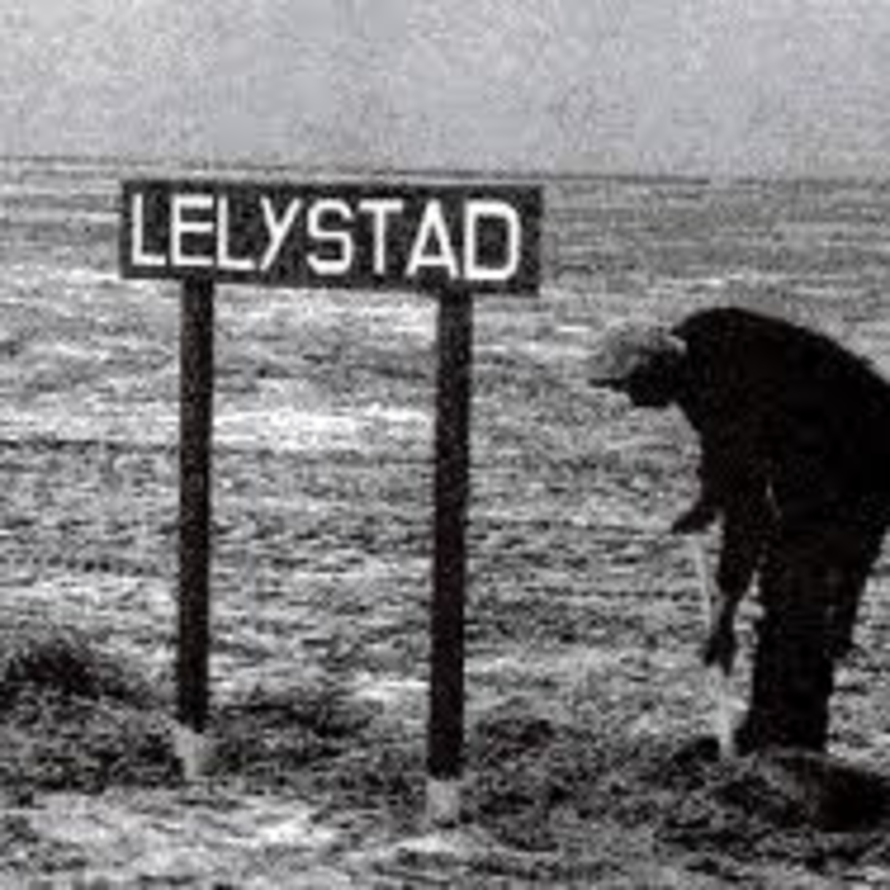 Nieuwspodcast Lelystad