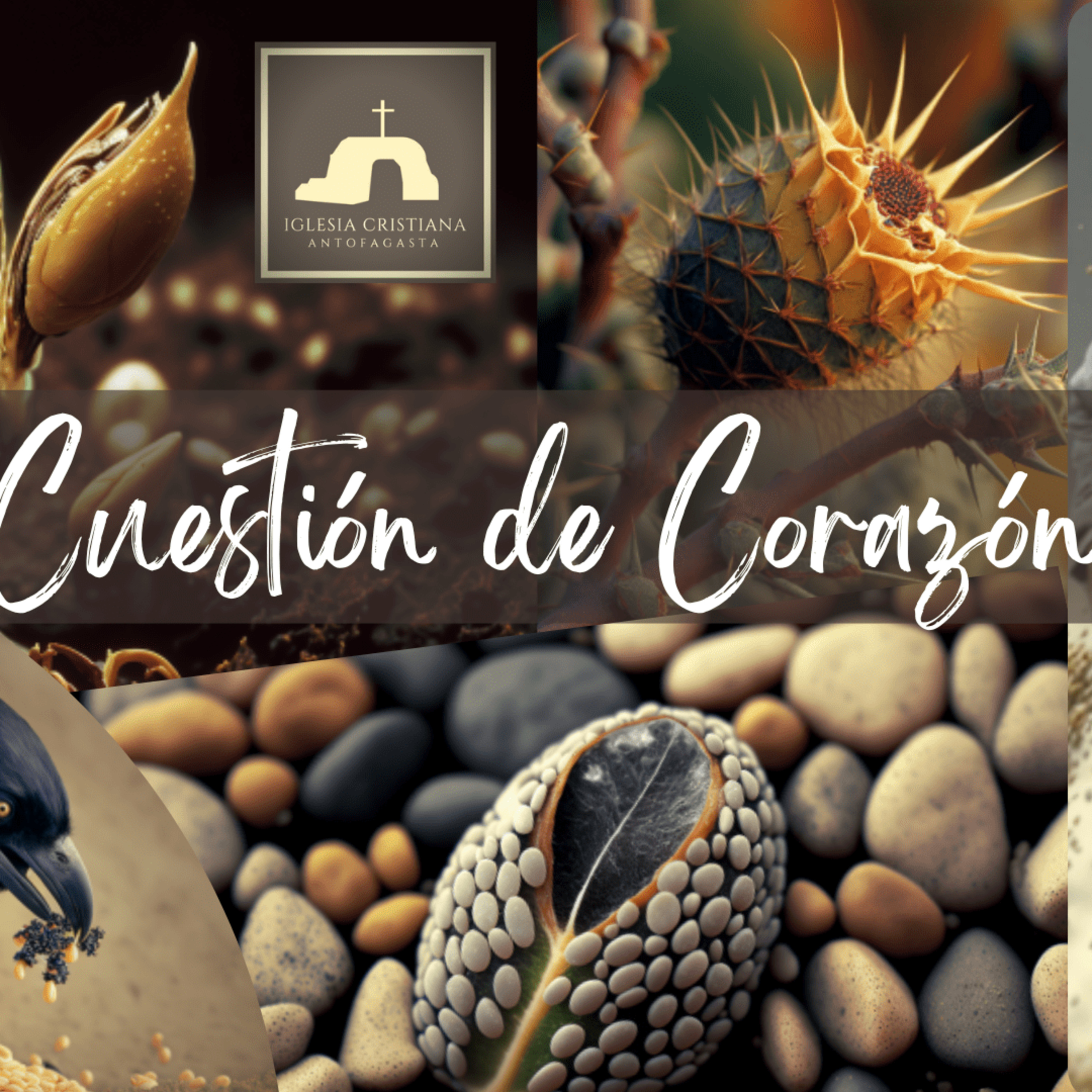 Iglesia Cristiana Antofagasta