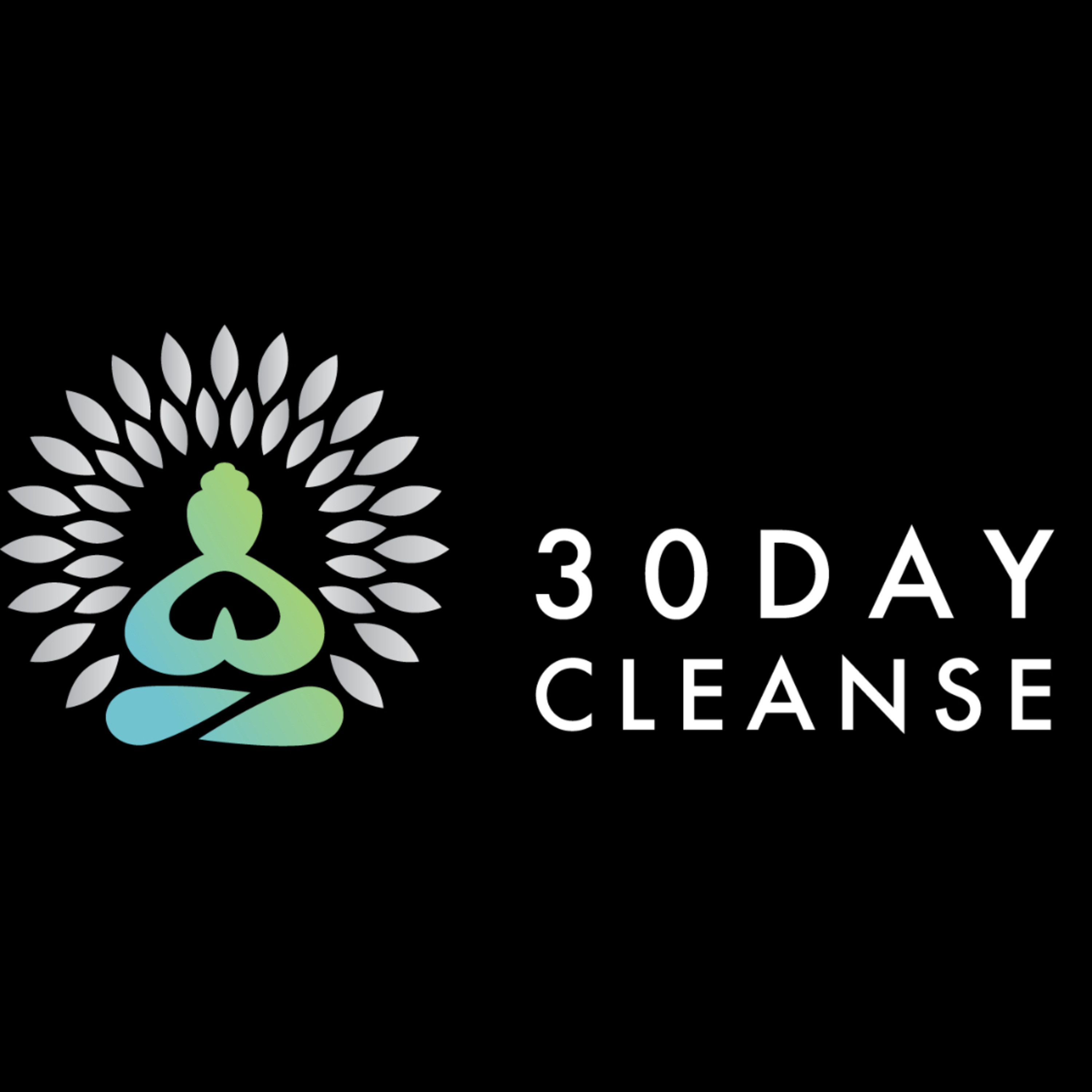 The30daycleanse.com episode artwork