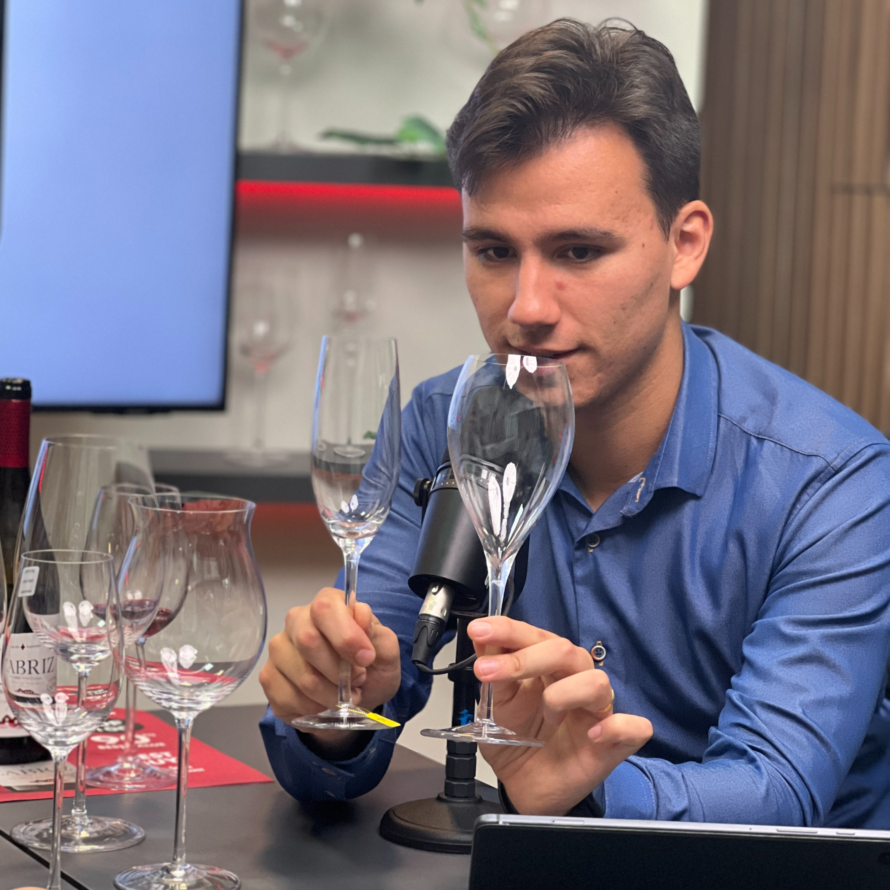 No Mundo do Vinho