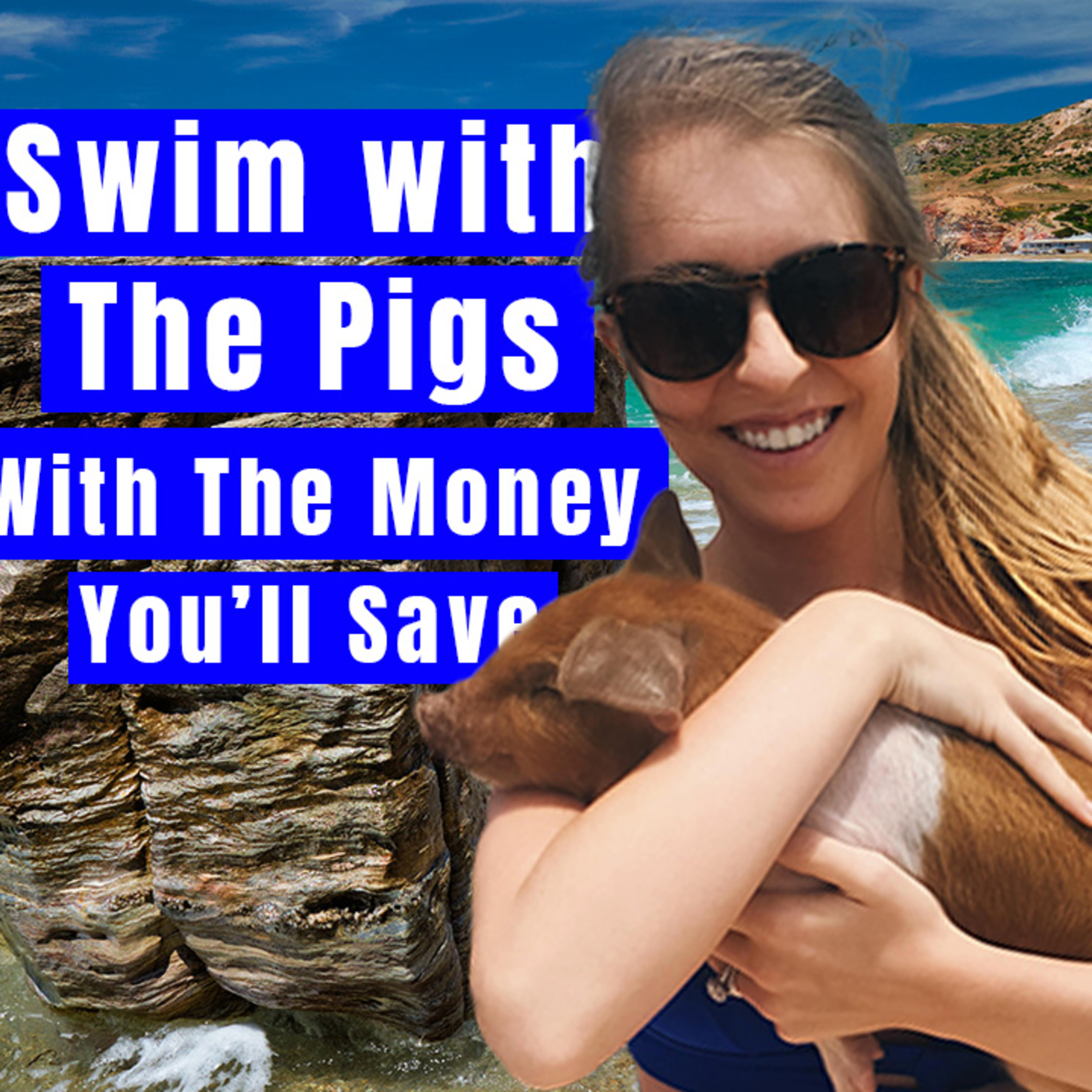 Swim With The Pigs with the Money You'll Save on Health Insurance episode artwork