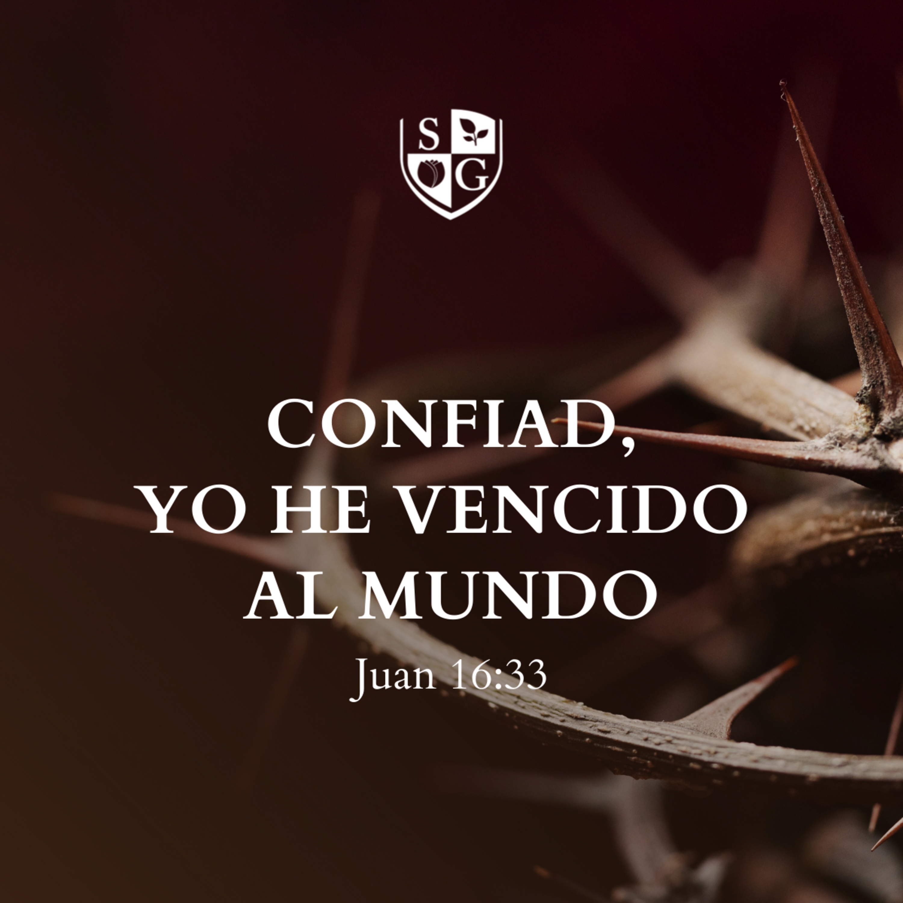 "Confiad, yo he vencido al mundo" Juan 16:33 | Pr. Jorge Rodriguez episode artwork