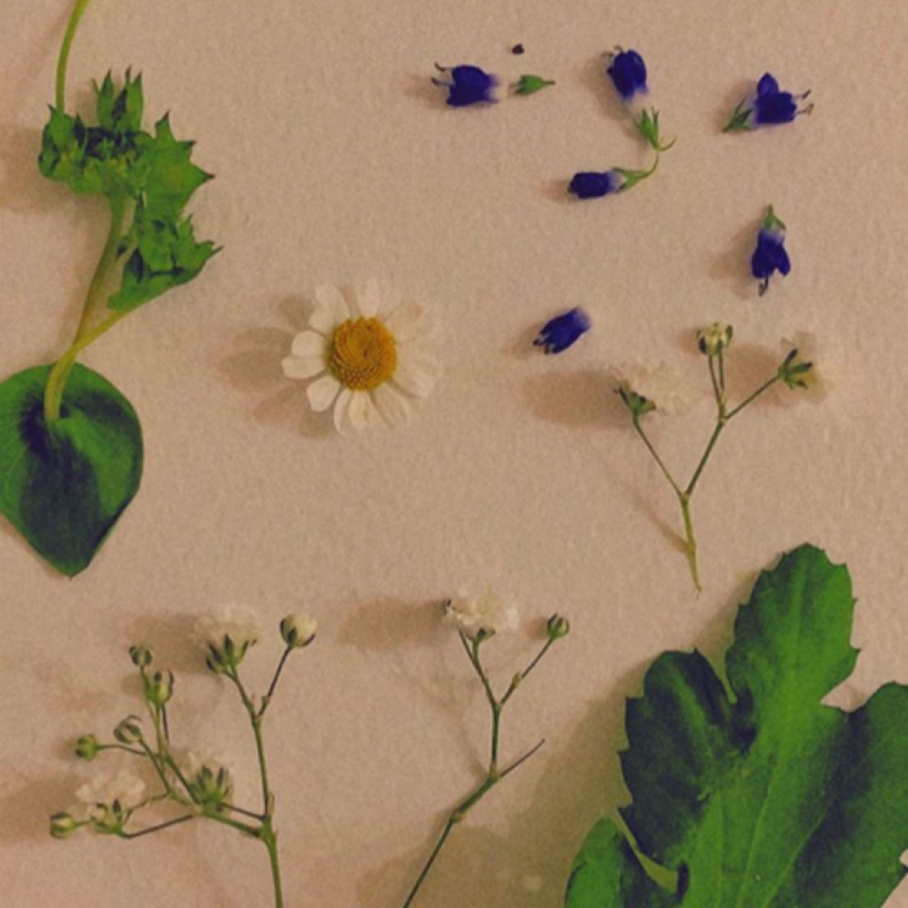 El Machismo en nuestras Vidas