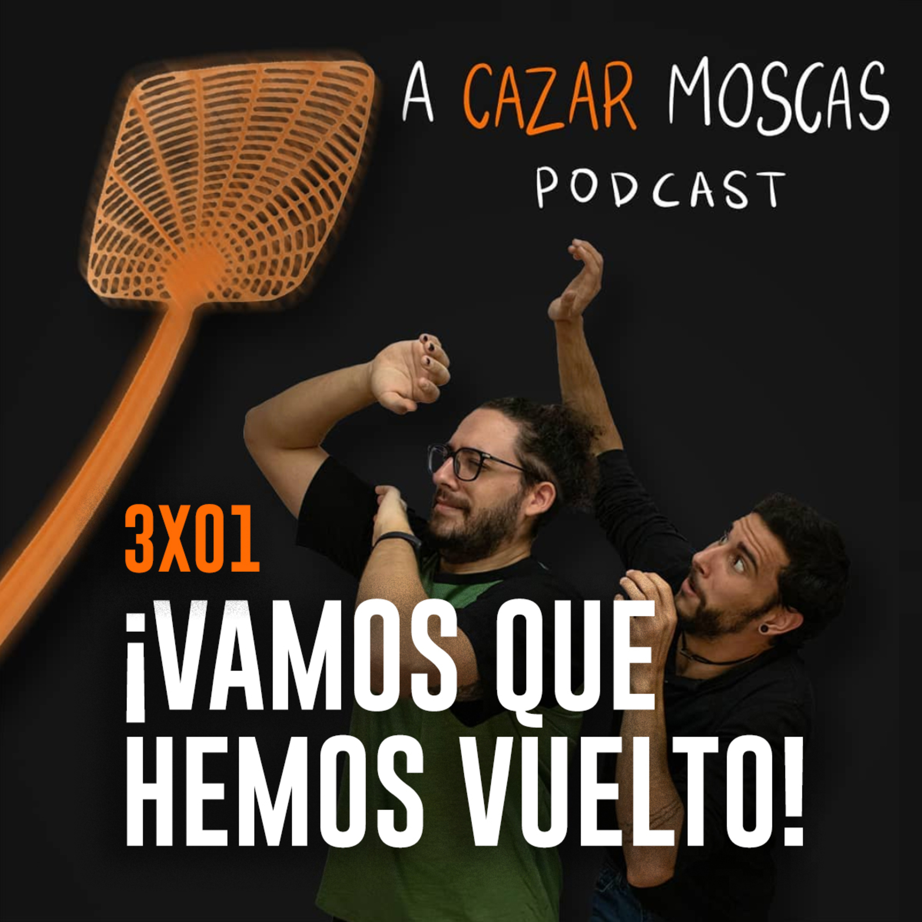 A Cazar Moscas