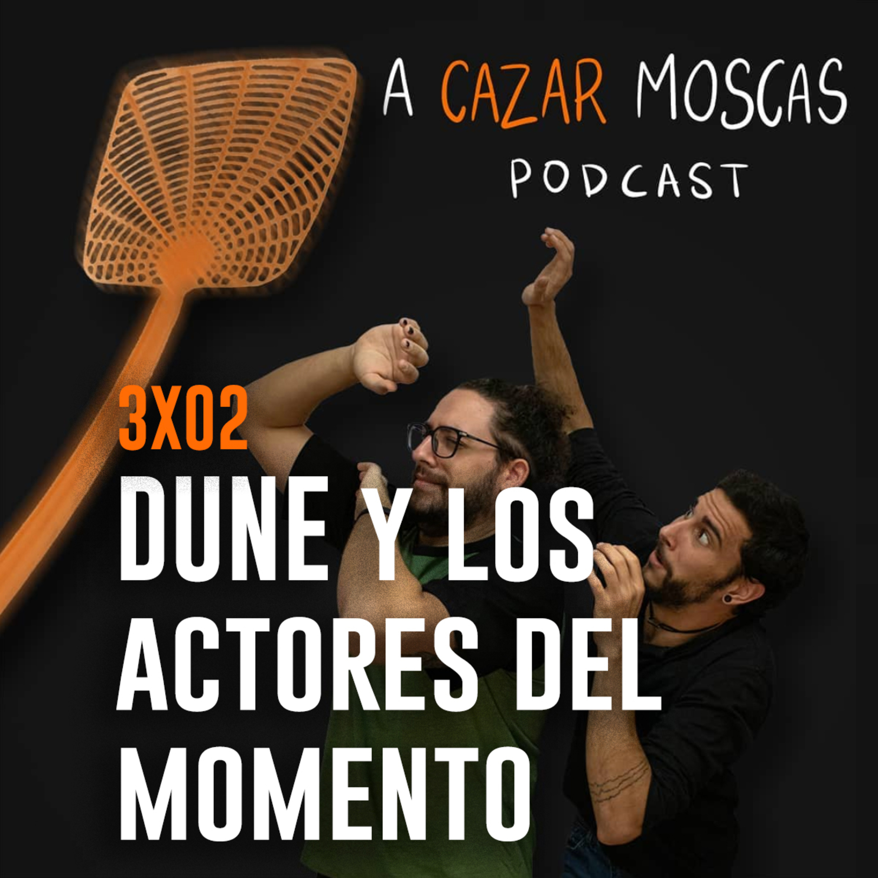 A Cazar Moscas