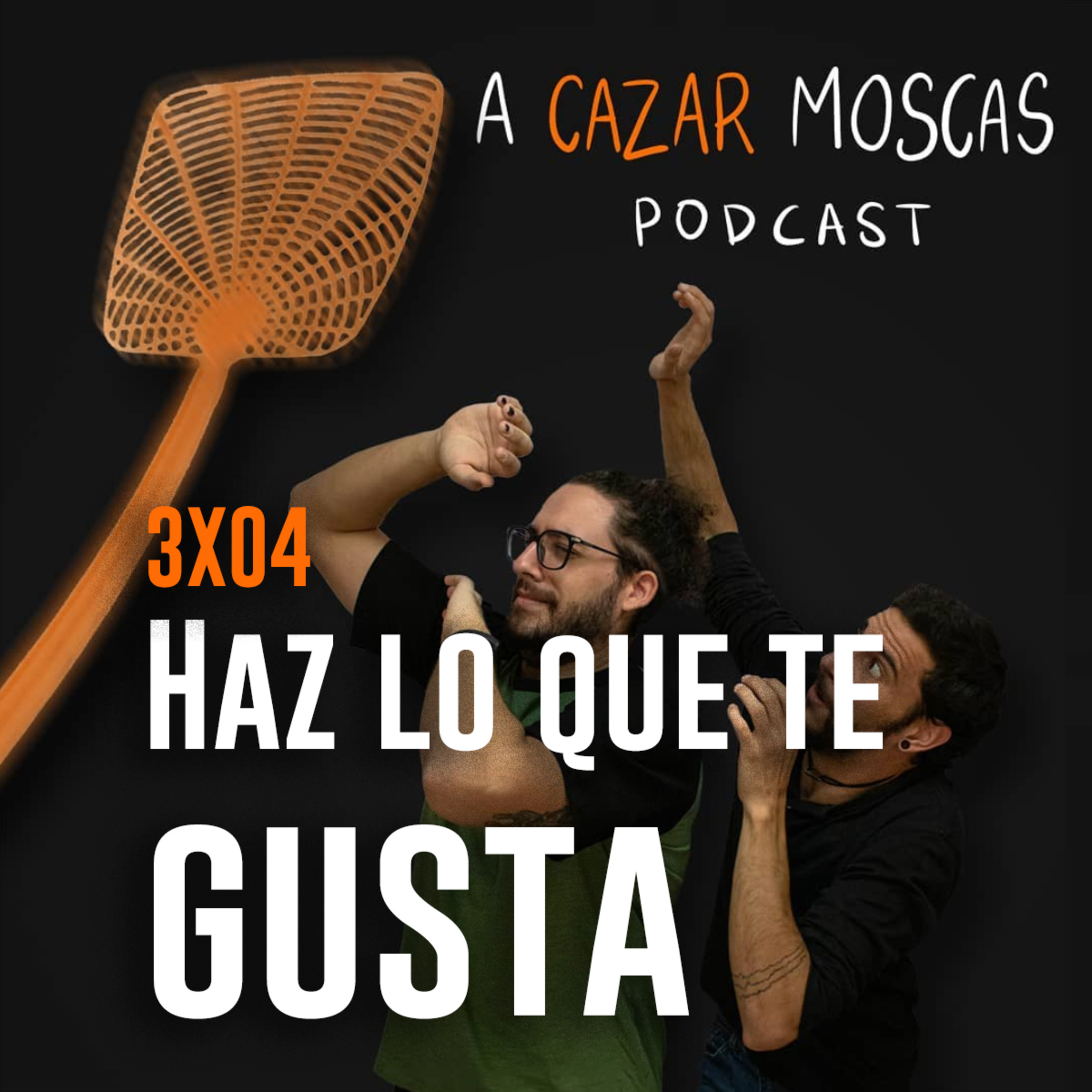 A Cazar Moscas