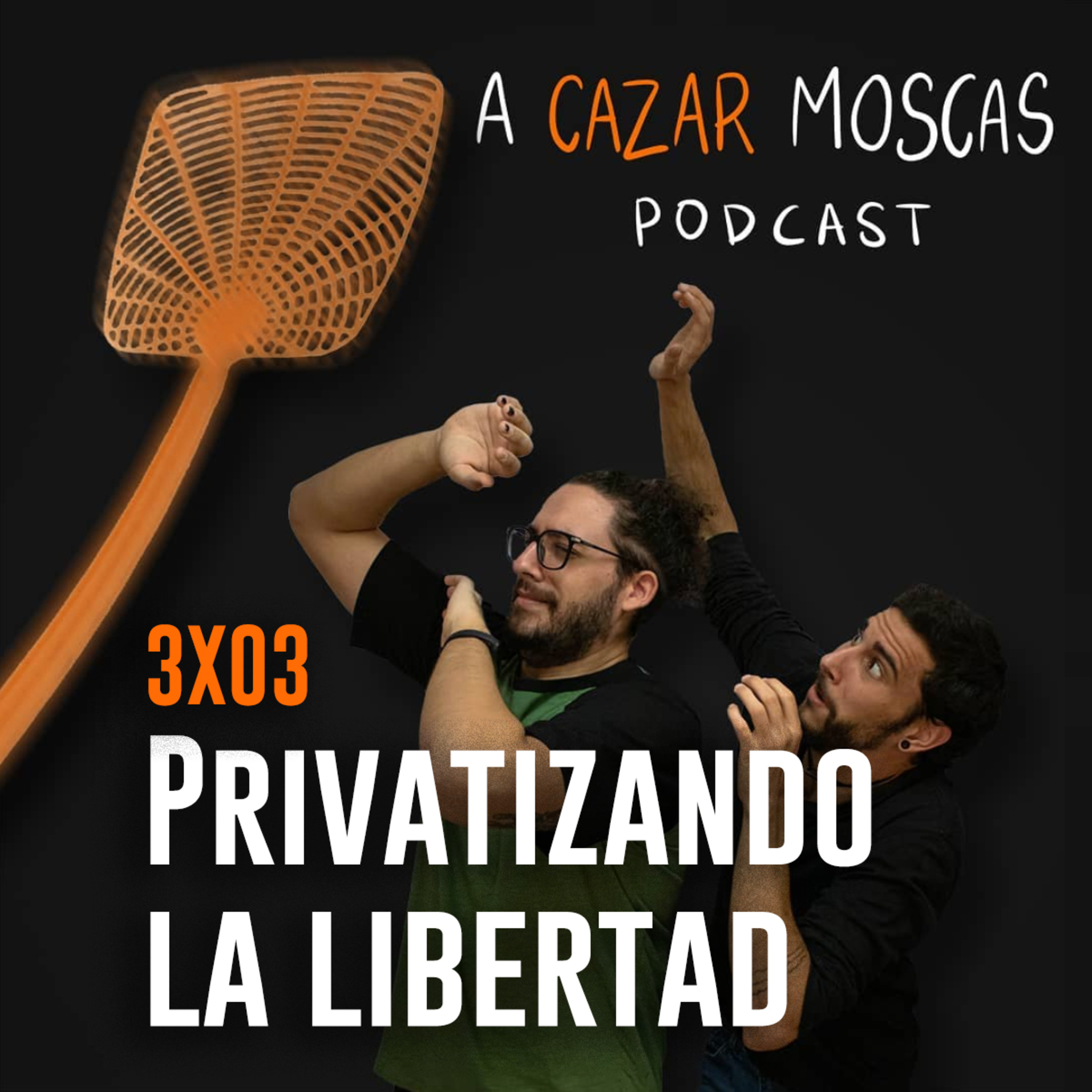 A Cazar Moscas
