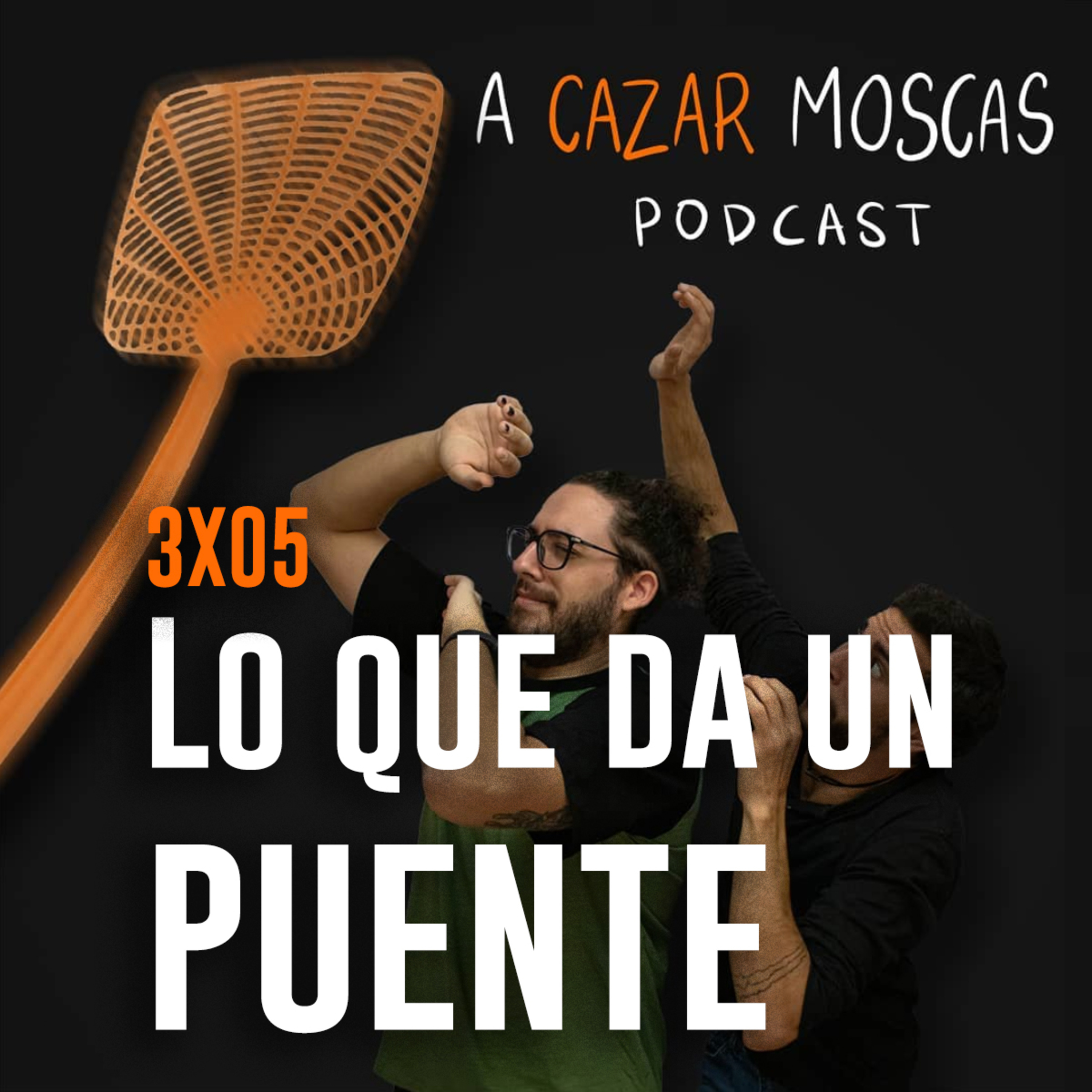 A Cazar Moscas